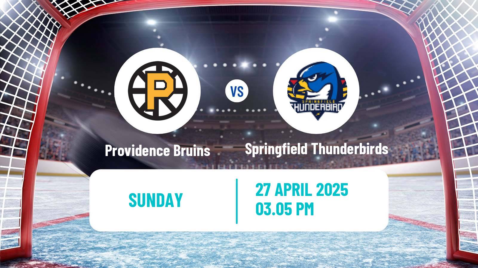 Hockey AHL Providence Bruins - Springfield Thunderbirds