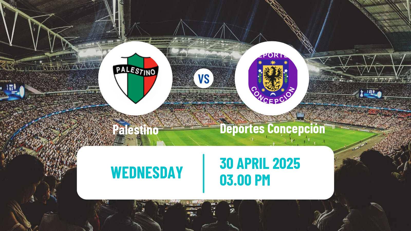 Soccer Chilean Cup Palestino - Deportes Concepción