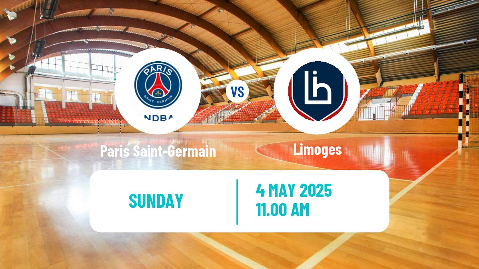 Handball French Starligue Handball Paris Saint-Germain - Limoges