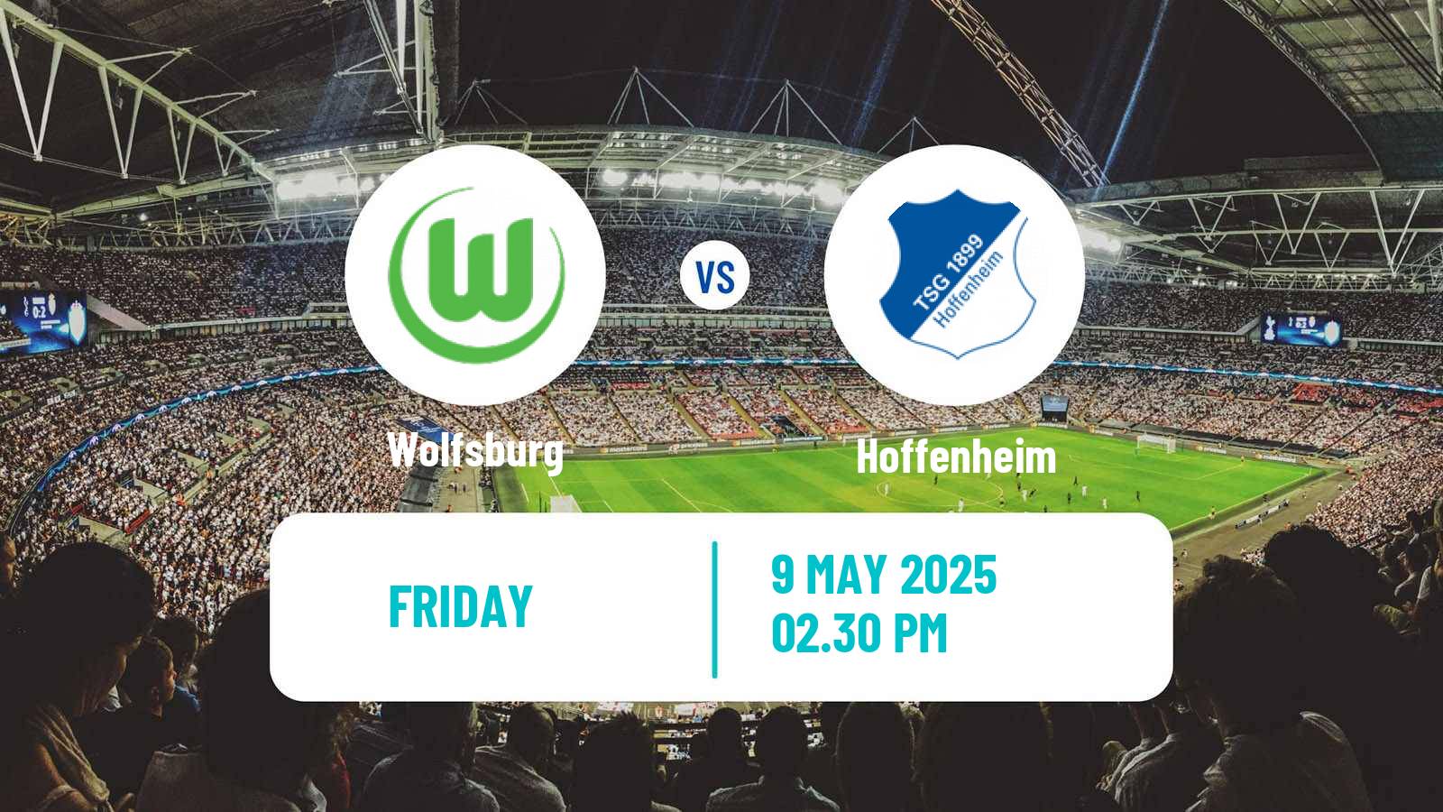 Soccer German Bundesliga Wolfsburg - Hoffenheim
