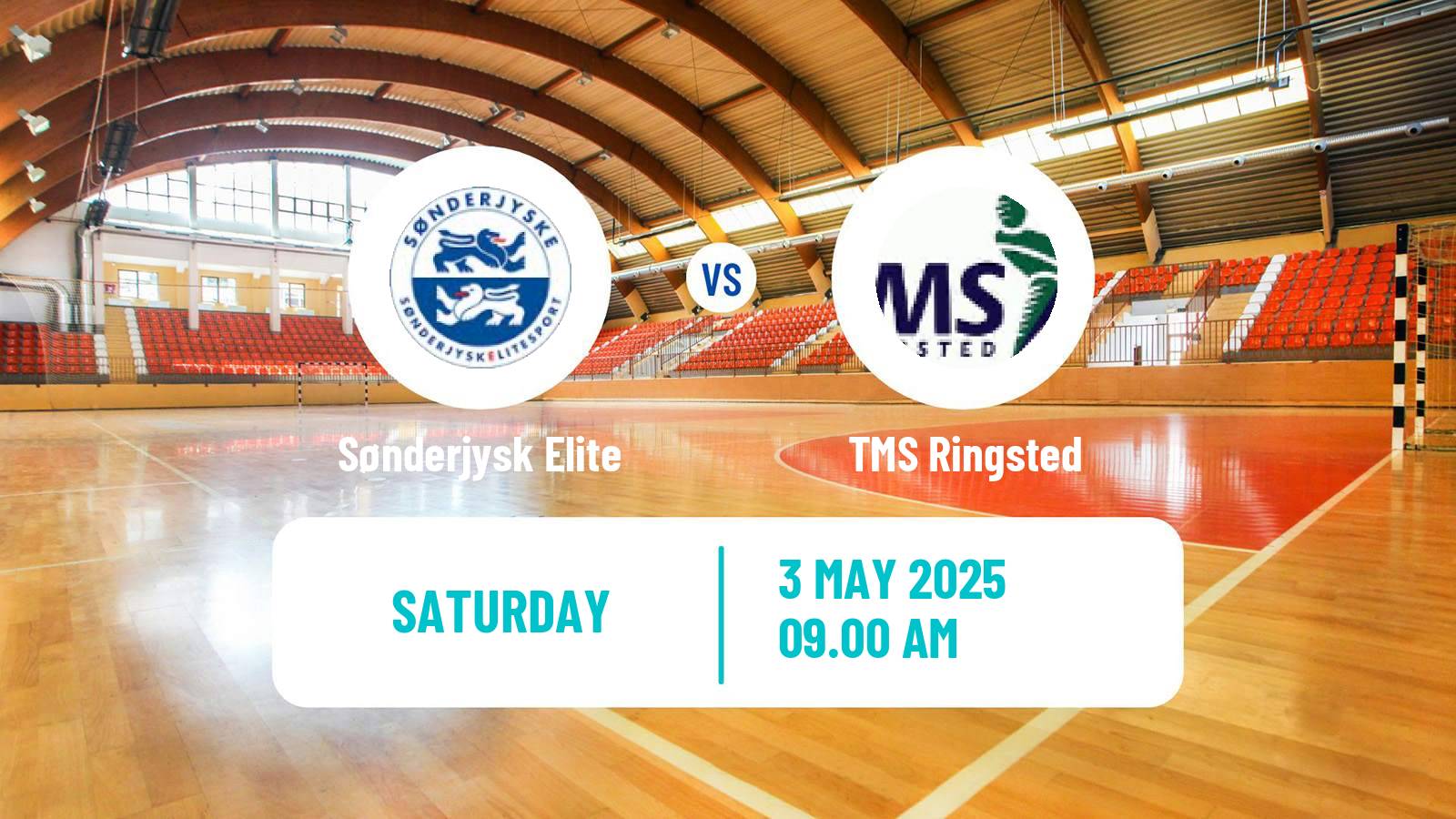 Handball Danish Handbold Ligaen Sønderjysk Elite - Ringsted