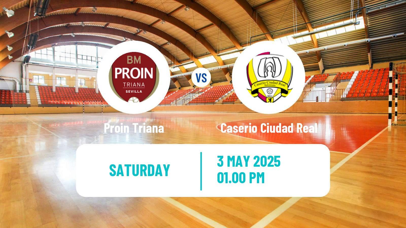 Handball Spanish Division de Honor Plata Handball Proin Triana - Caserio Ciudad Real