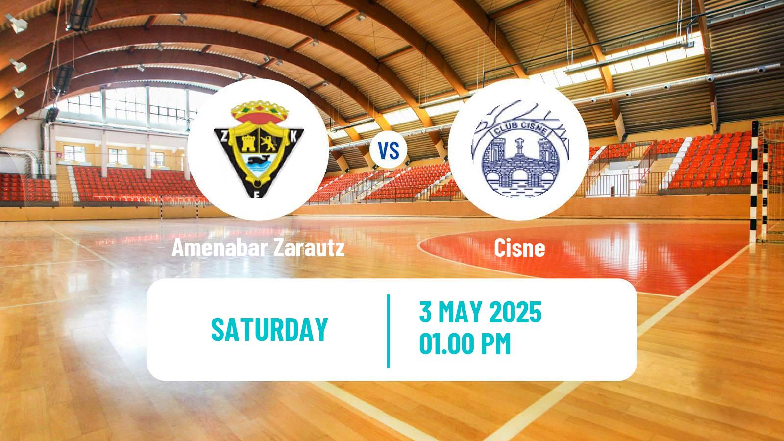 Handball Spanish Division de Honor Plata Handball Amenabar Zarautz - Cisne