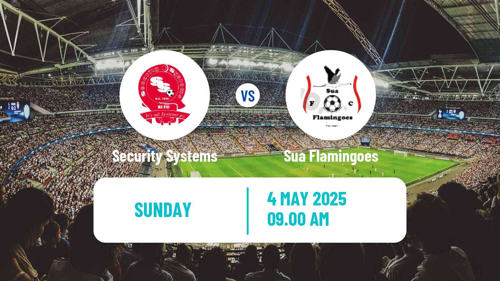 Soccer Botswana Premier League Security Systems - Sua Flamingoes
