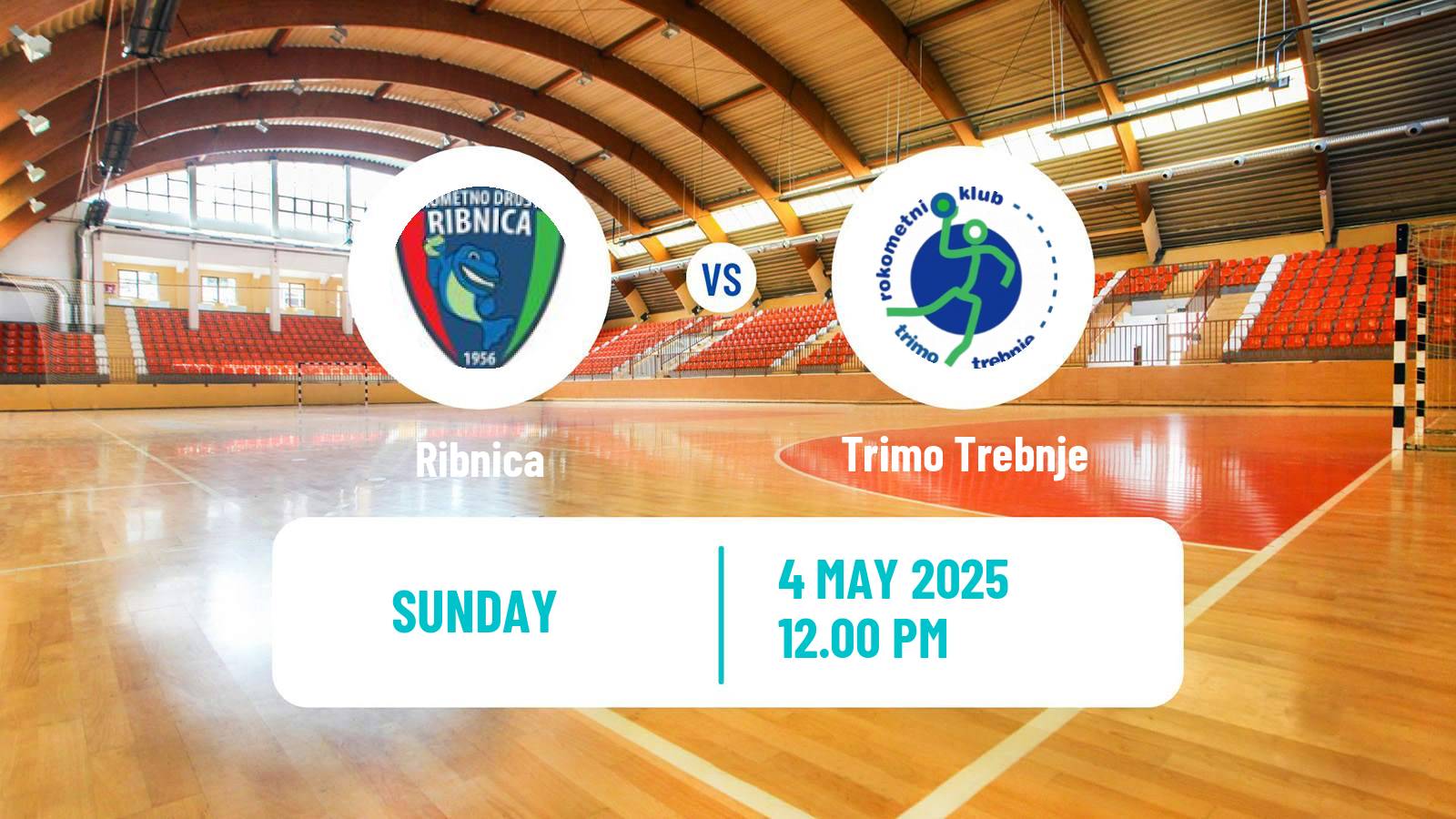 Handball Slovenian 1 NLB Liga Handball Ribnica - Trimo Trebnje