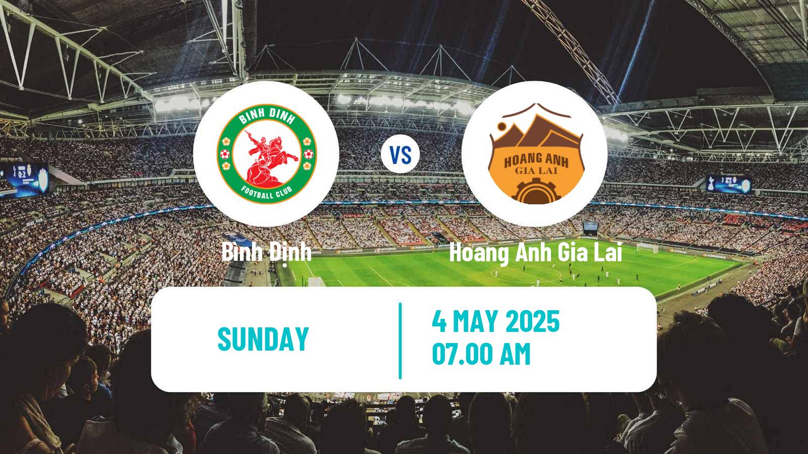 Soccer Vietnamese V League 1 Bình Định - Hoang Anh Gia Lai