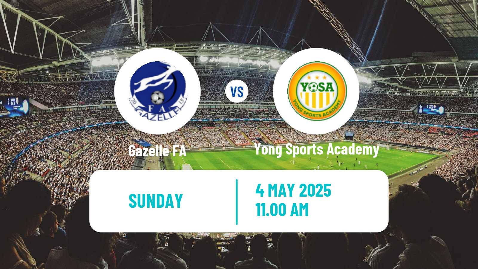 Soccer Cameroon Elite One Gazelle - Yong Sports Academy