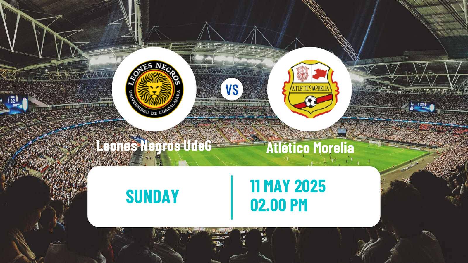 Soccer Mexican Liga de Expansion MX Leones Negros UdeG - Atlético Morelia