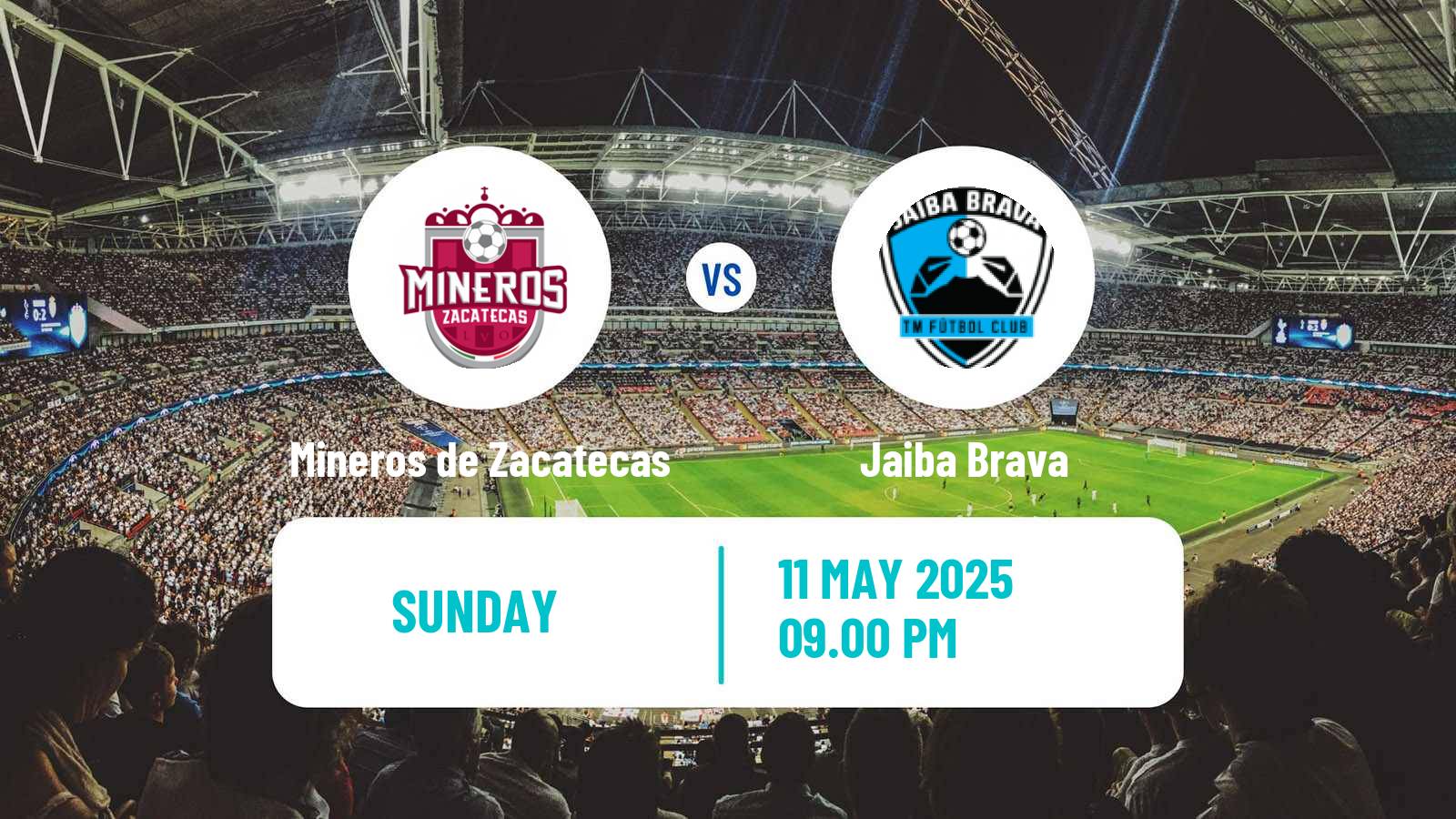Soccer Mexican Liga de Expansion MX Mineros de Zacatecas - Jaiba Brava