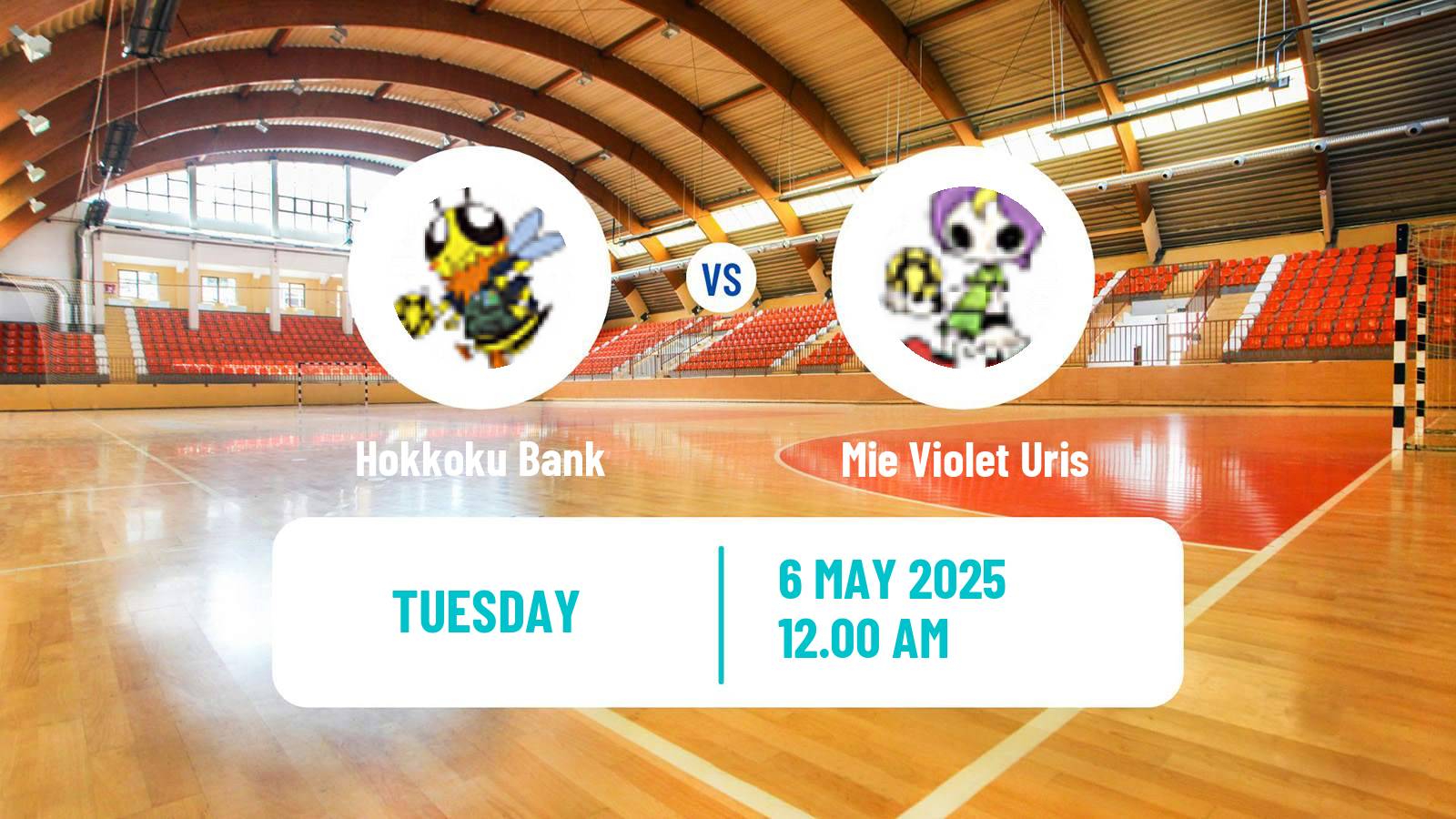 Handball Japan JHL Handball Women Hokkoku Bank - Mie Violet Uris