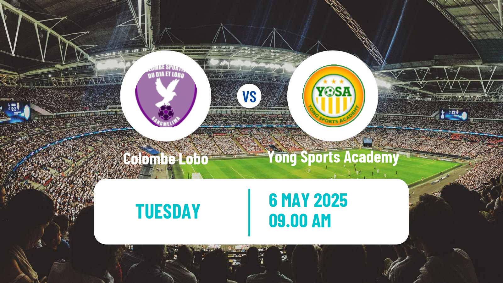 Soccer Cameroon Elite One Colombe Lobo - Yong Sports Academy