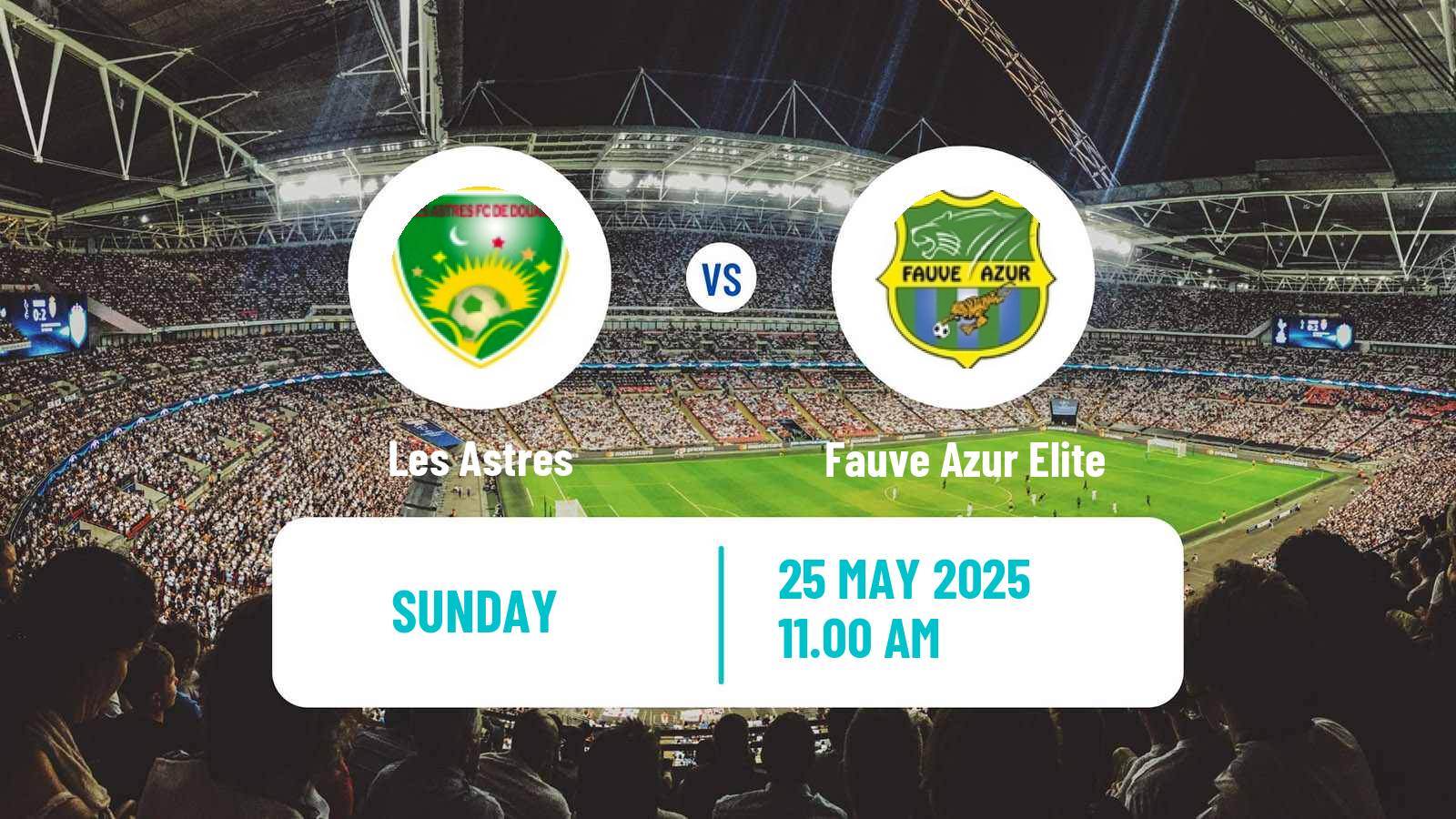Soccer Cameroon Elite One Les Astres - Fauve Azur Elite