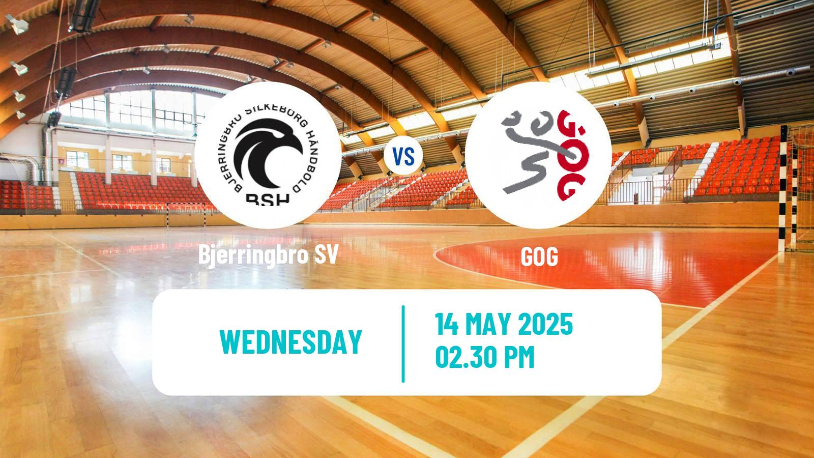 Handball Danish Handbold Ligaen Bjerringbro SV - GOG