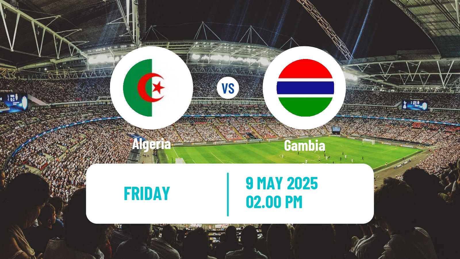 Soccer African Nations Championship Algeria - Gambia