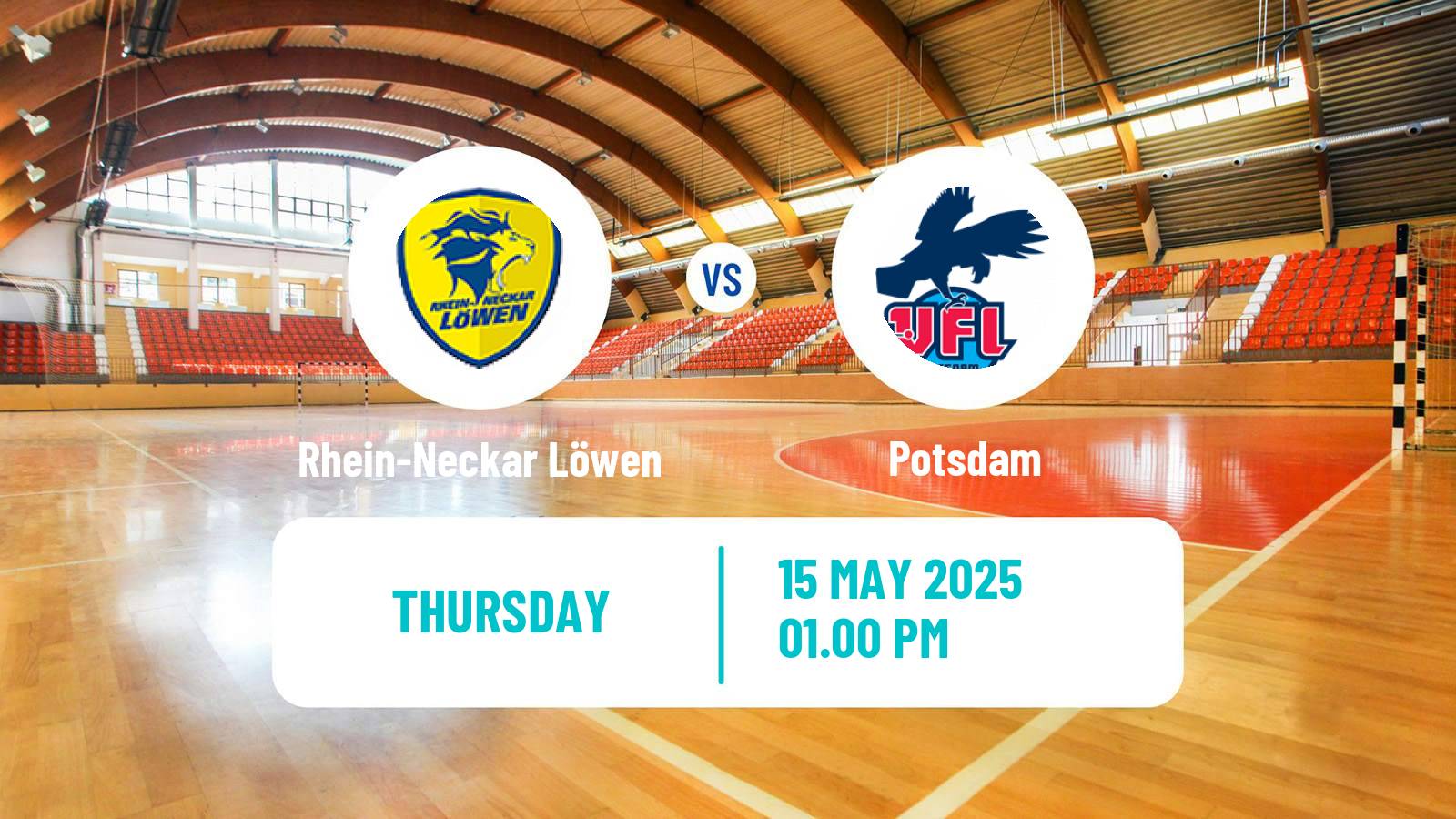 Handball German Bundesliga Handball Rhein-Neckar Löwen - Potsdam