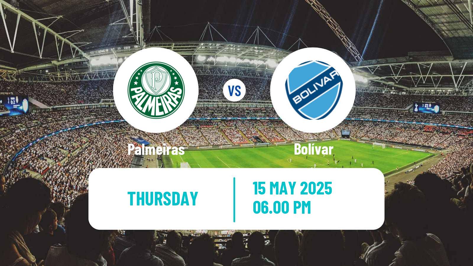 Soccer Copa Libertadores Palmeiras - Bolívar