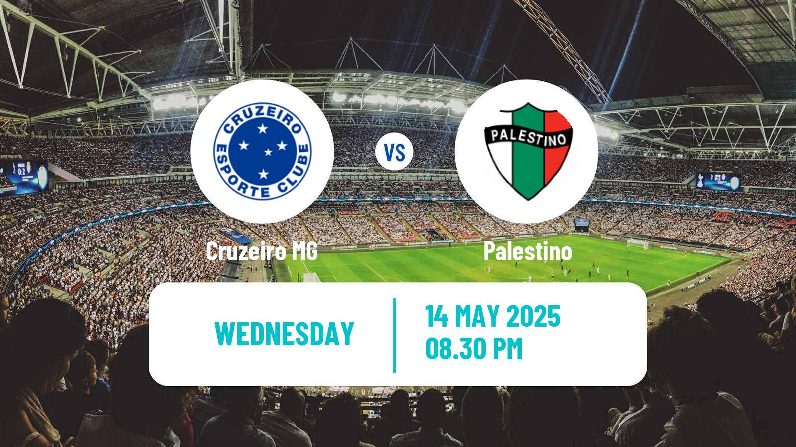 Soccer Copa Sudamericana Cruzeiro - Palestino