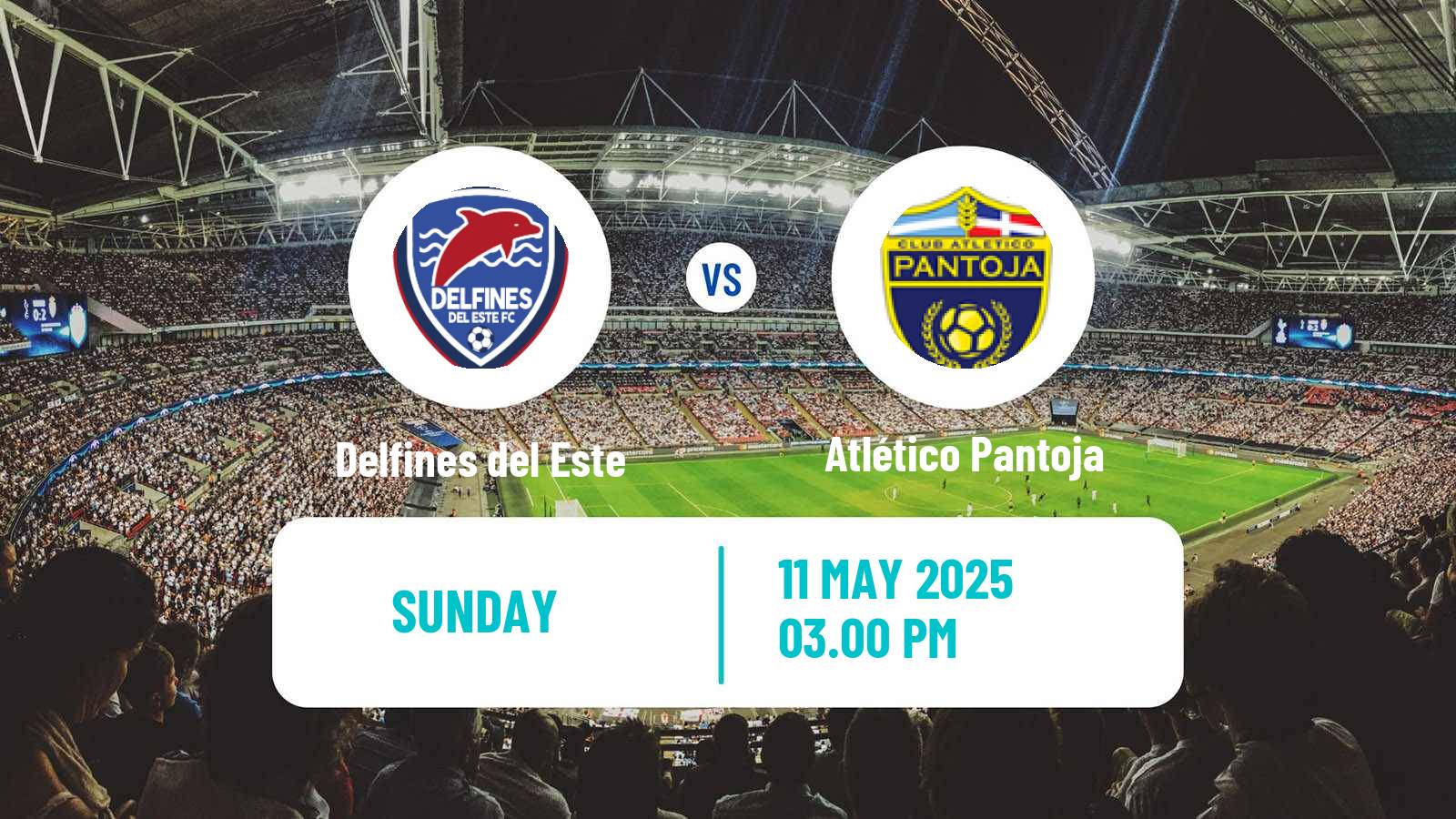 Soccer Dominican Republic Copa de la LDF Delfines del Este - Atlético Pantoja