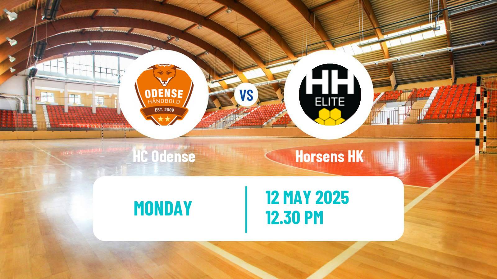 Handball Danish Handbold Ligaen Women Odense - Horsens