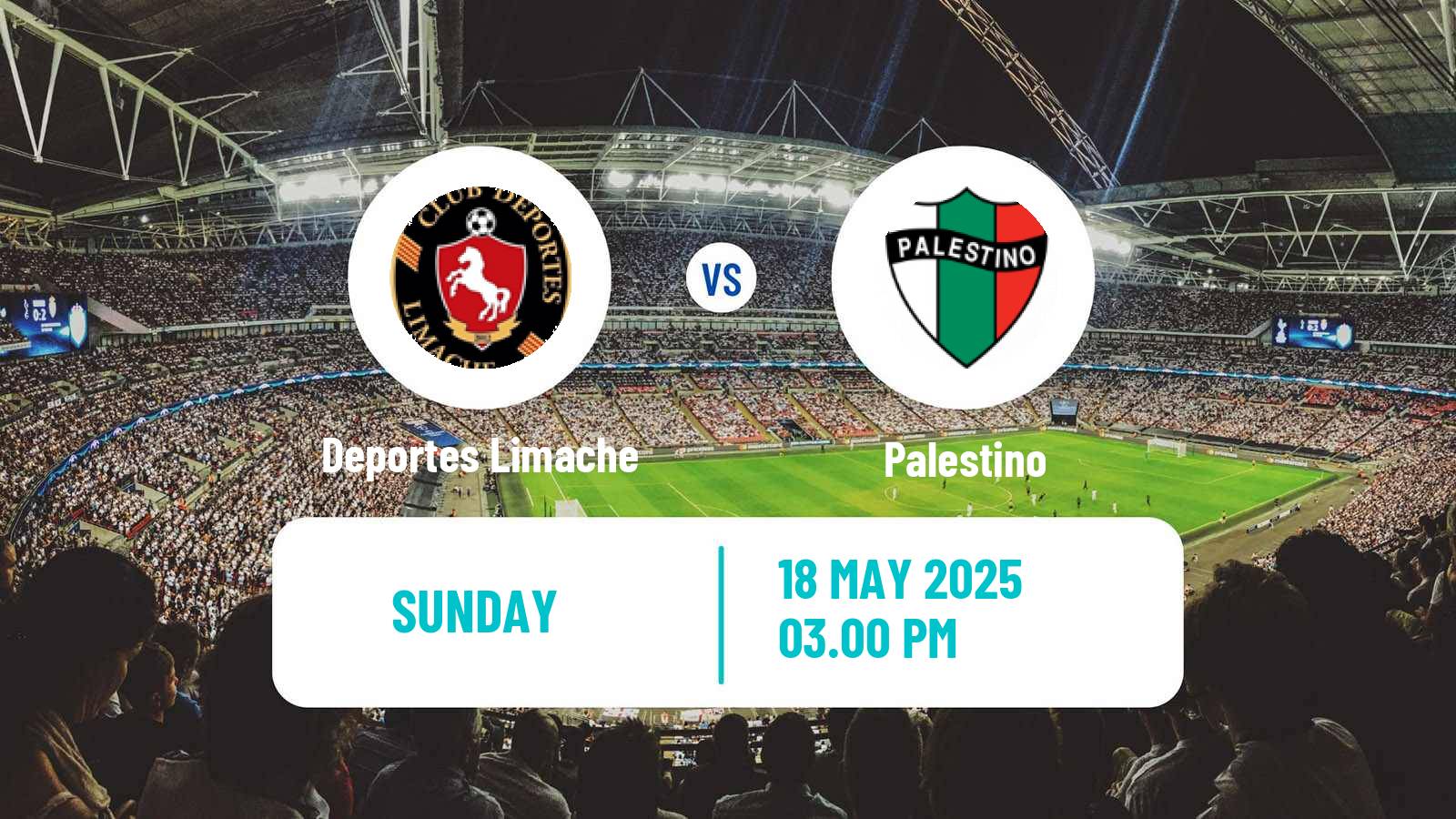 Soccer Chilean Primera Division Deportes Limache - Palestino