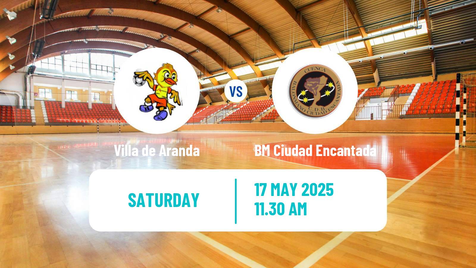 Handball Spanish Liga ASOBAL Villa de Aranda - BM Ciudad Encantada