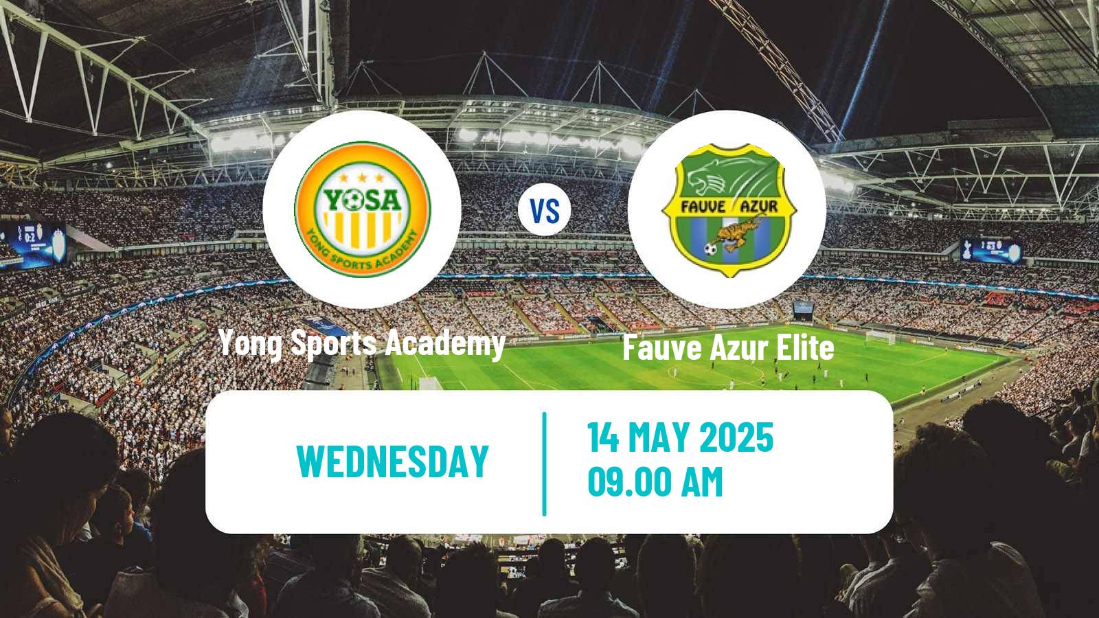 Soccer Cameroon Elite One Yong Sports Academy - Fauve Azur Elite