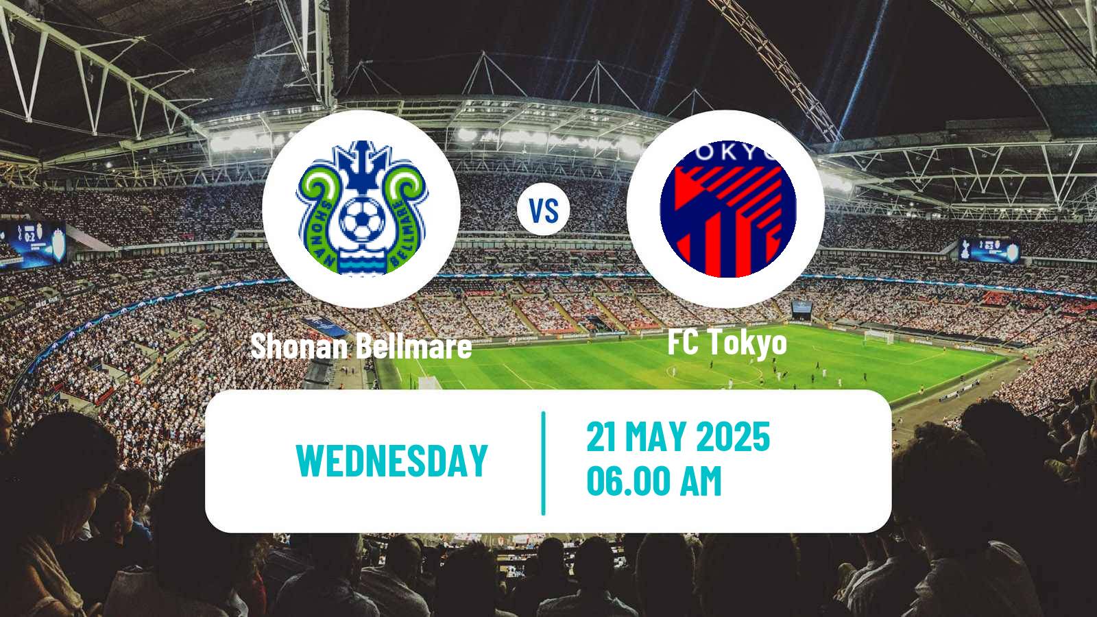 Soccer YBC Levain Cup Shonan Bellmare - Tokyo