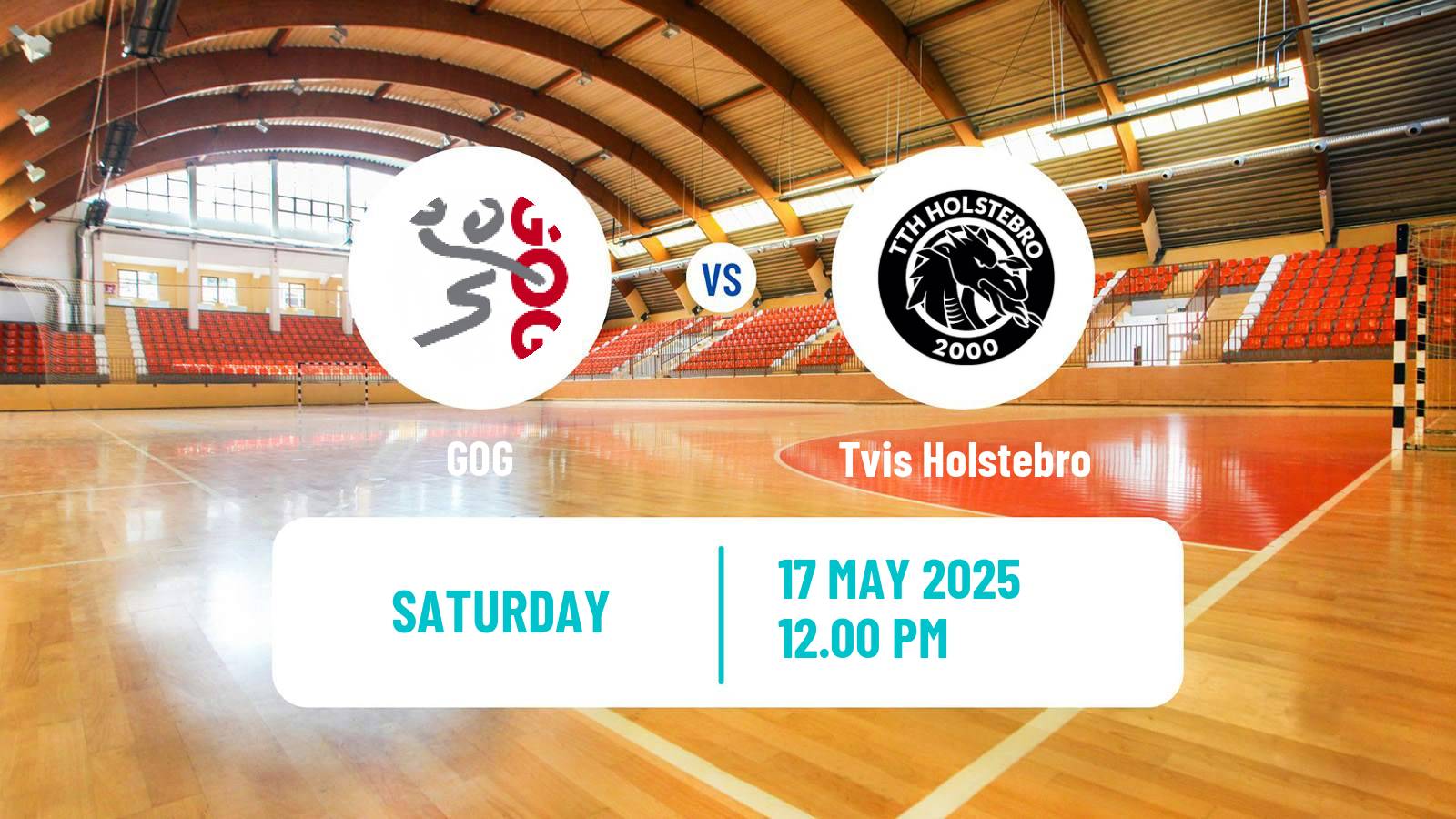 Handball Danish Handbold Ligaen GOG - Tvis Holstebro