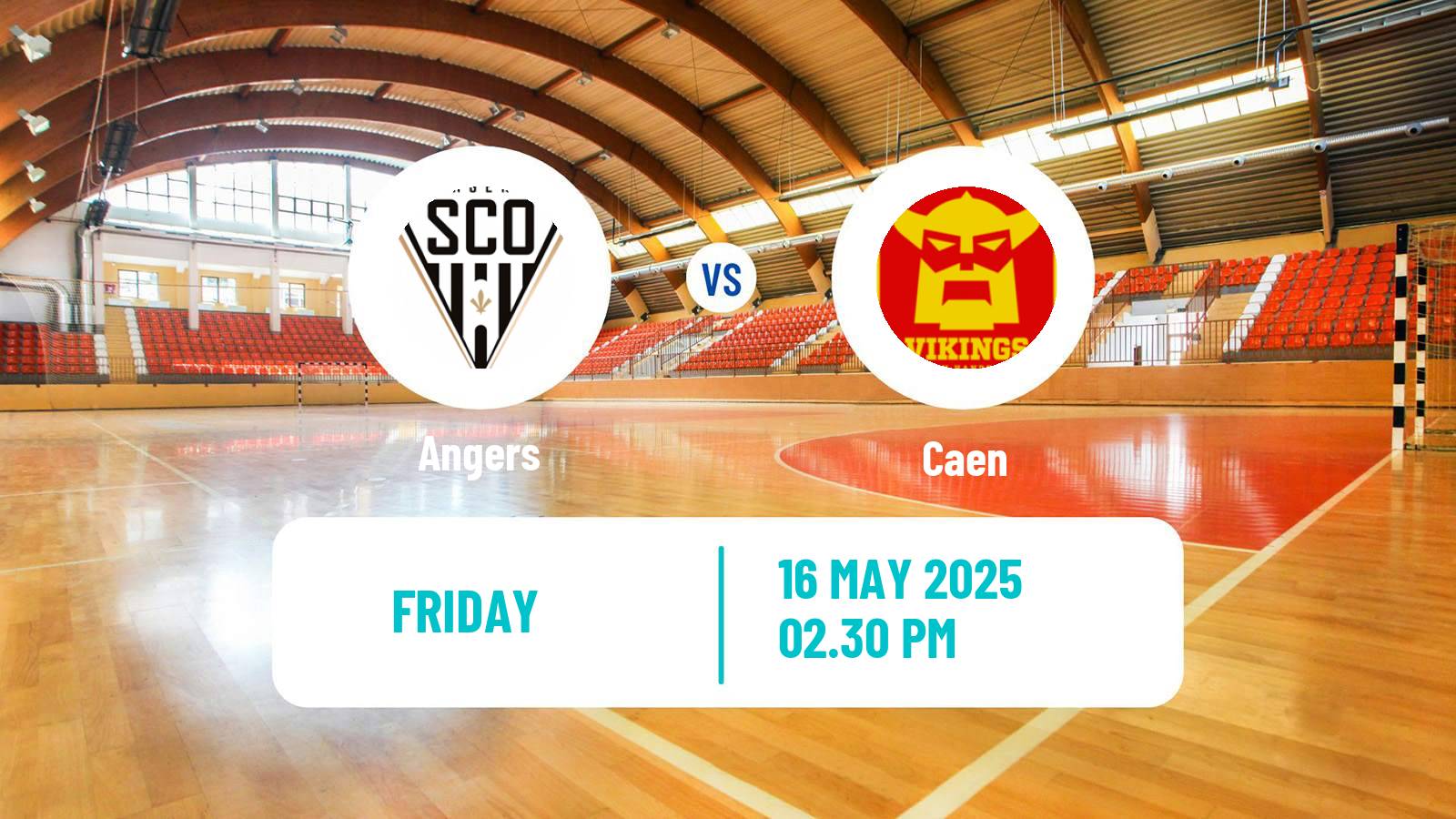 Handball French Proligue Handball Angers - Caen