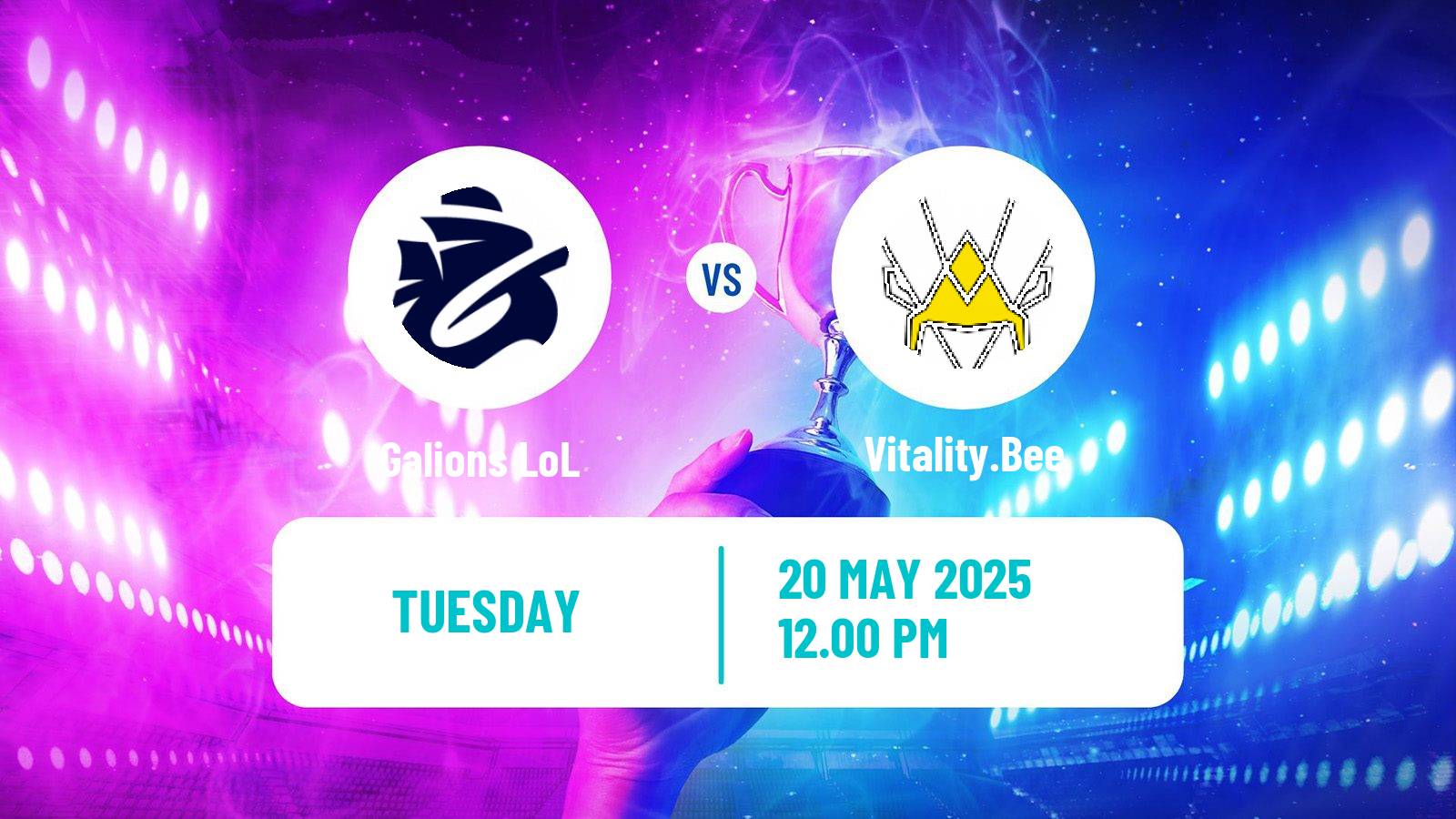 Esports League Of Legends Lfl Galions - Vitality.Bee