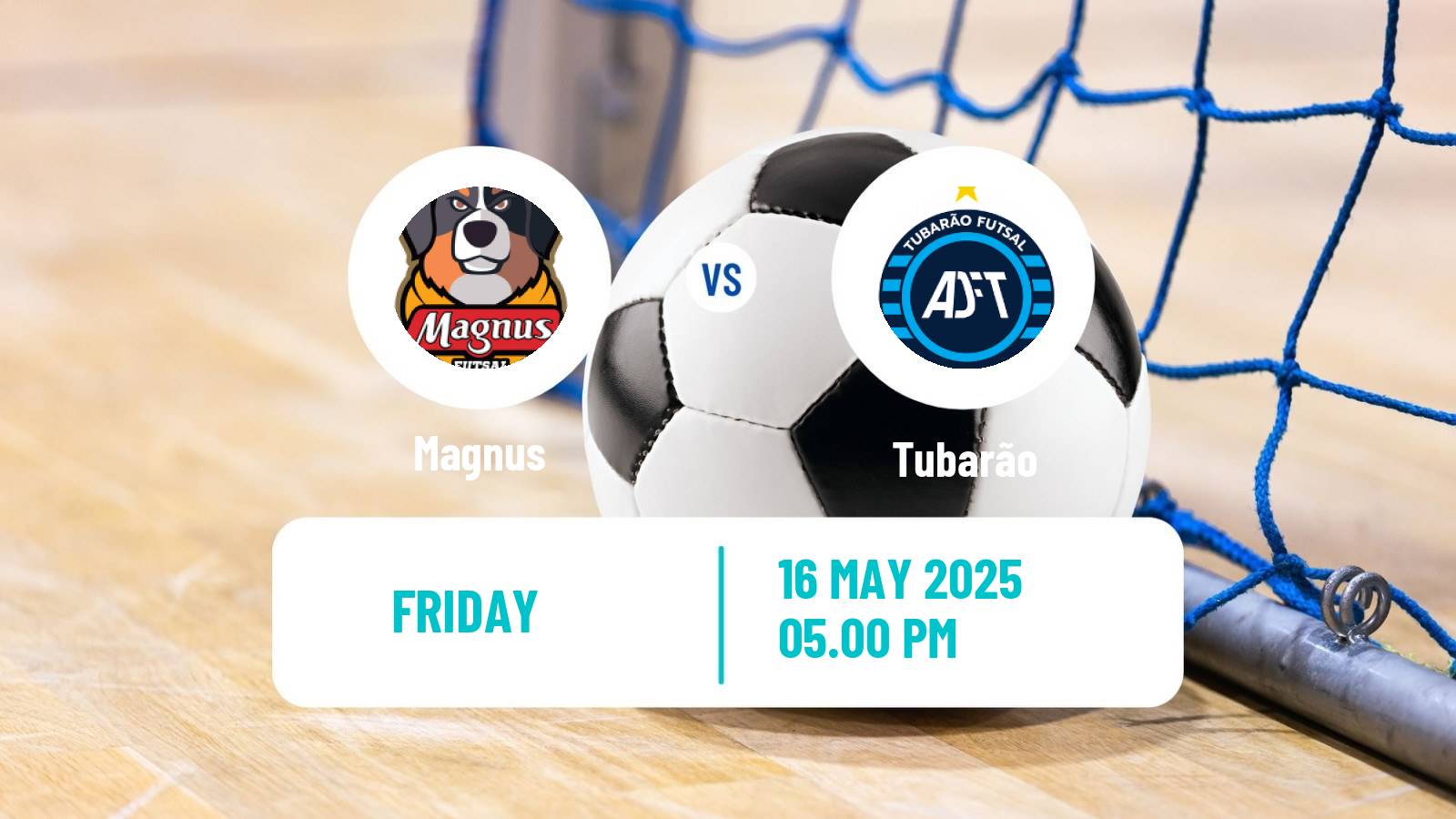 Futsal Brazilian Liga Futsal Magnus - Tubarão