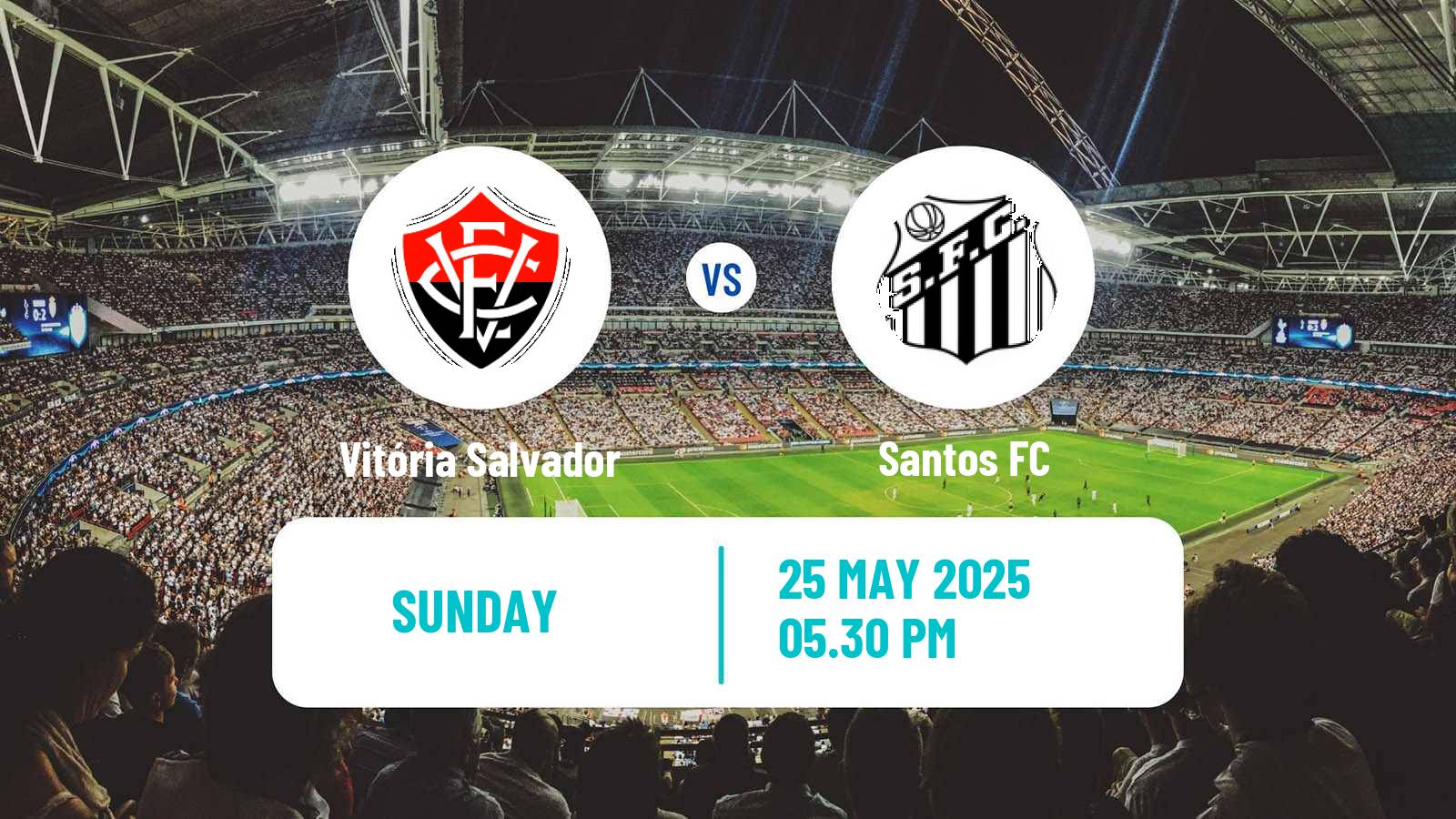 Soccer Brazilian Serie A Vitória Salvador - Santos