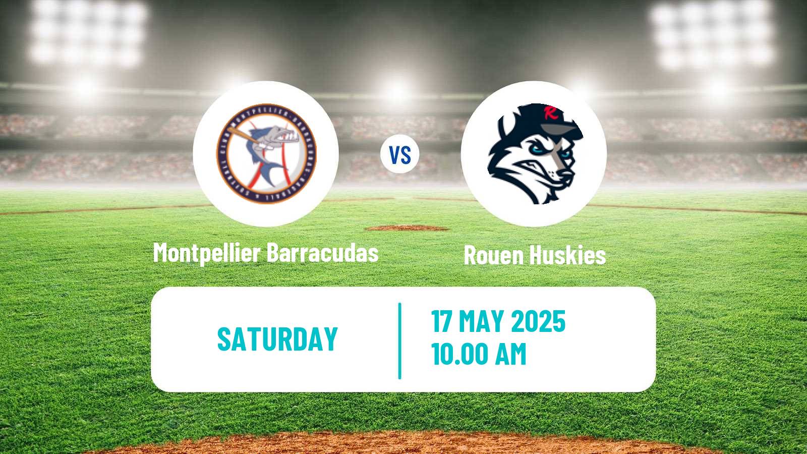 Baseball French Division 1 Baseball Montpellier Barracudas - Rouen Huskies
