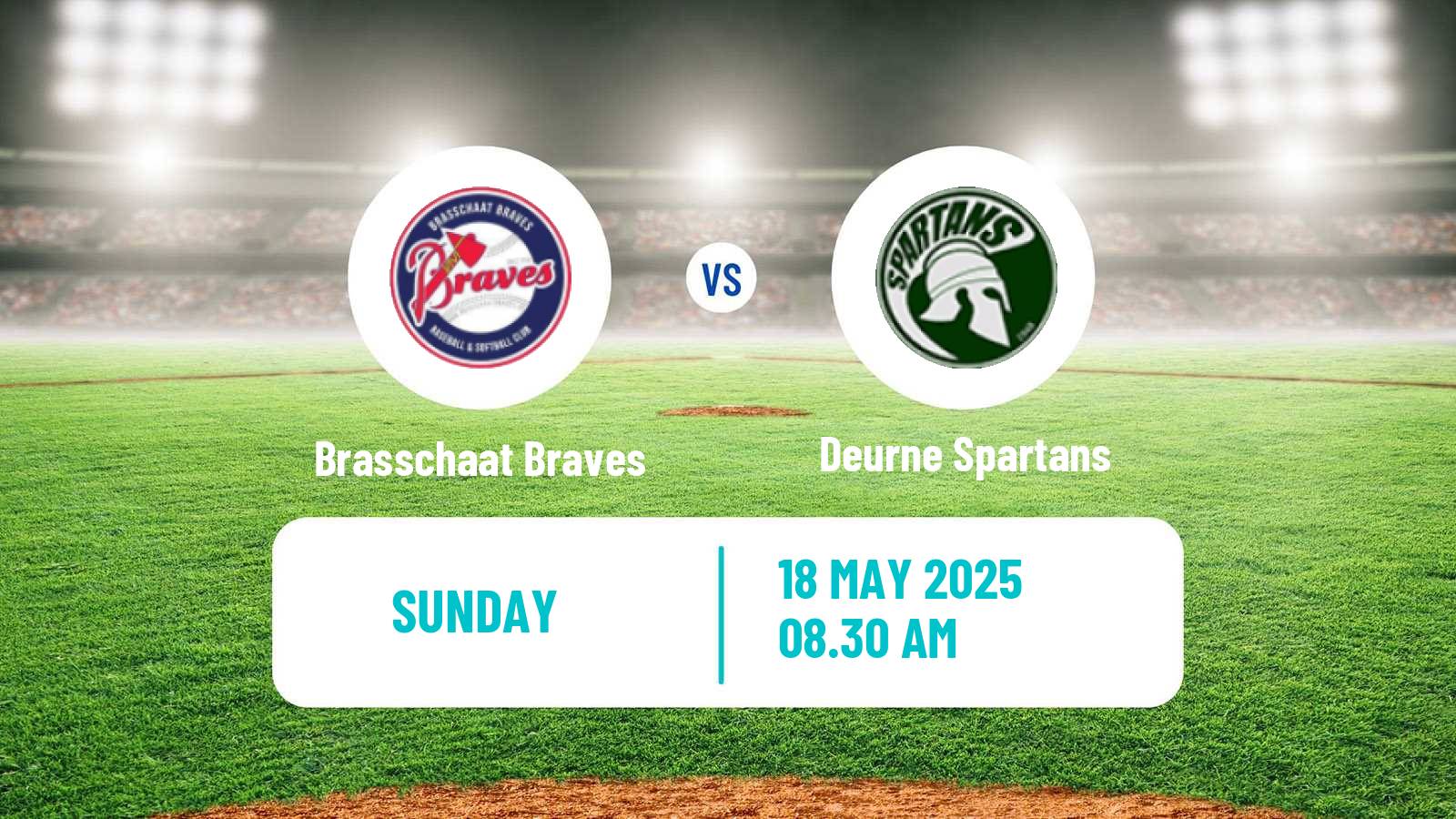 Baseball Belgian Division 1 Baseball Brasschaat Braves - Deurne Spartans