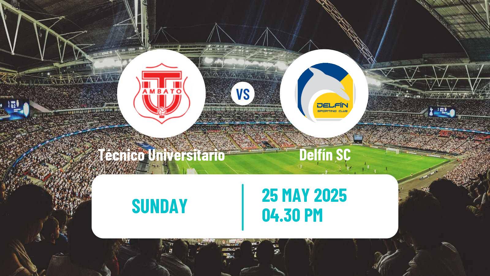 Soccer Ecuadorian Liga Pro Técnico Universitario - Delfín
