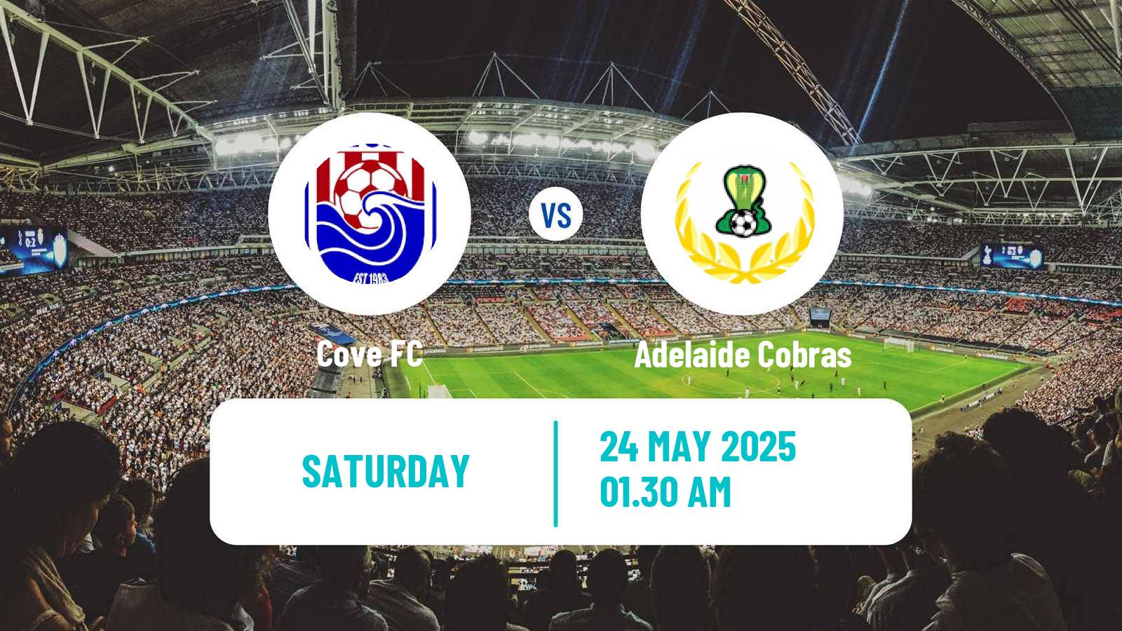 Soccer Australian SA State League Cove - Adelaide Cobras