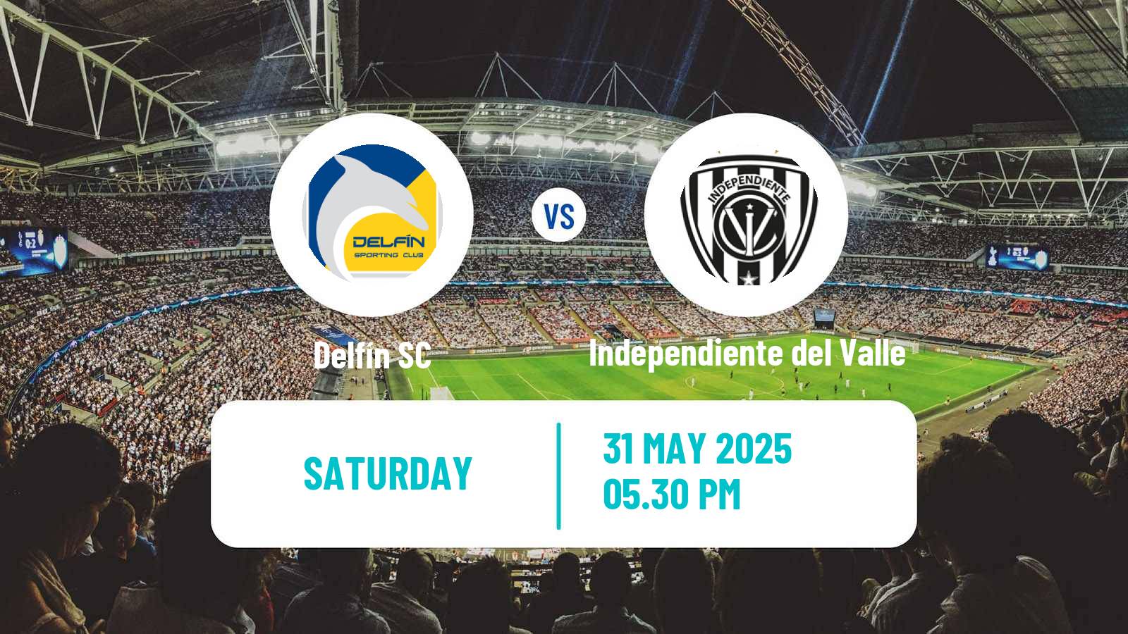 Soccer Ecuadorian Liga Pro Delfín - Independiente del Valle