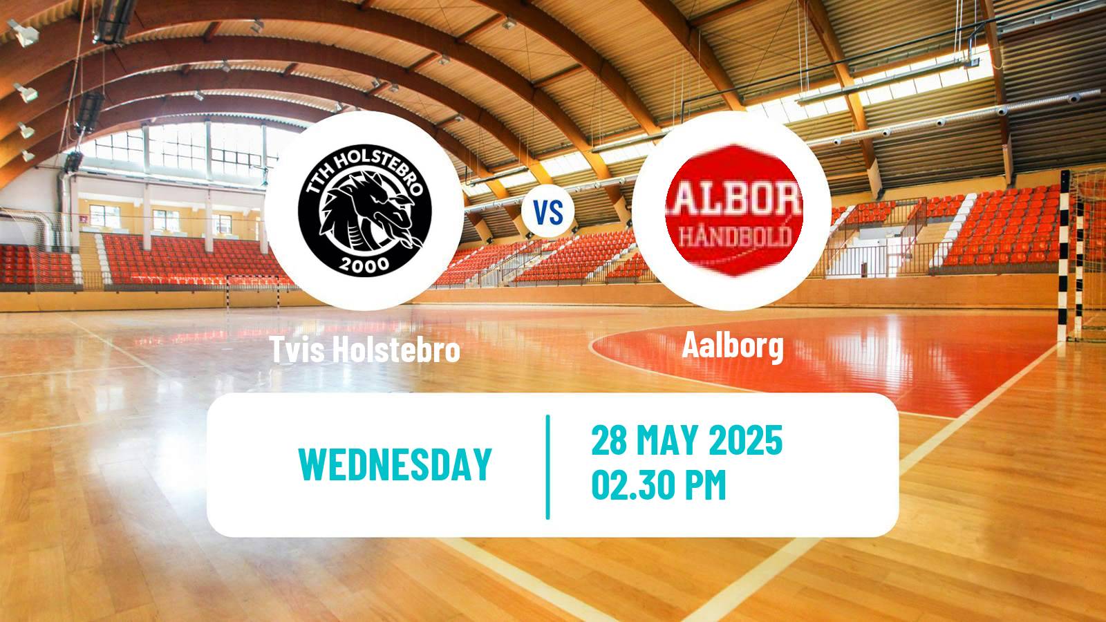 Handball Danish Handbold Ligaen Tvis Holstebro - Aalborg