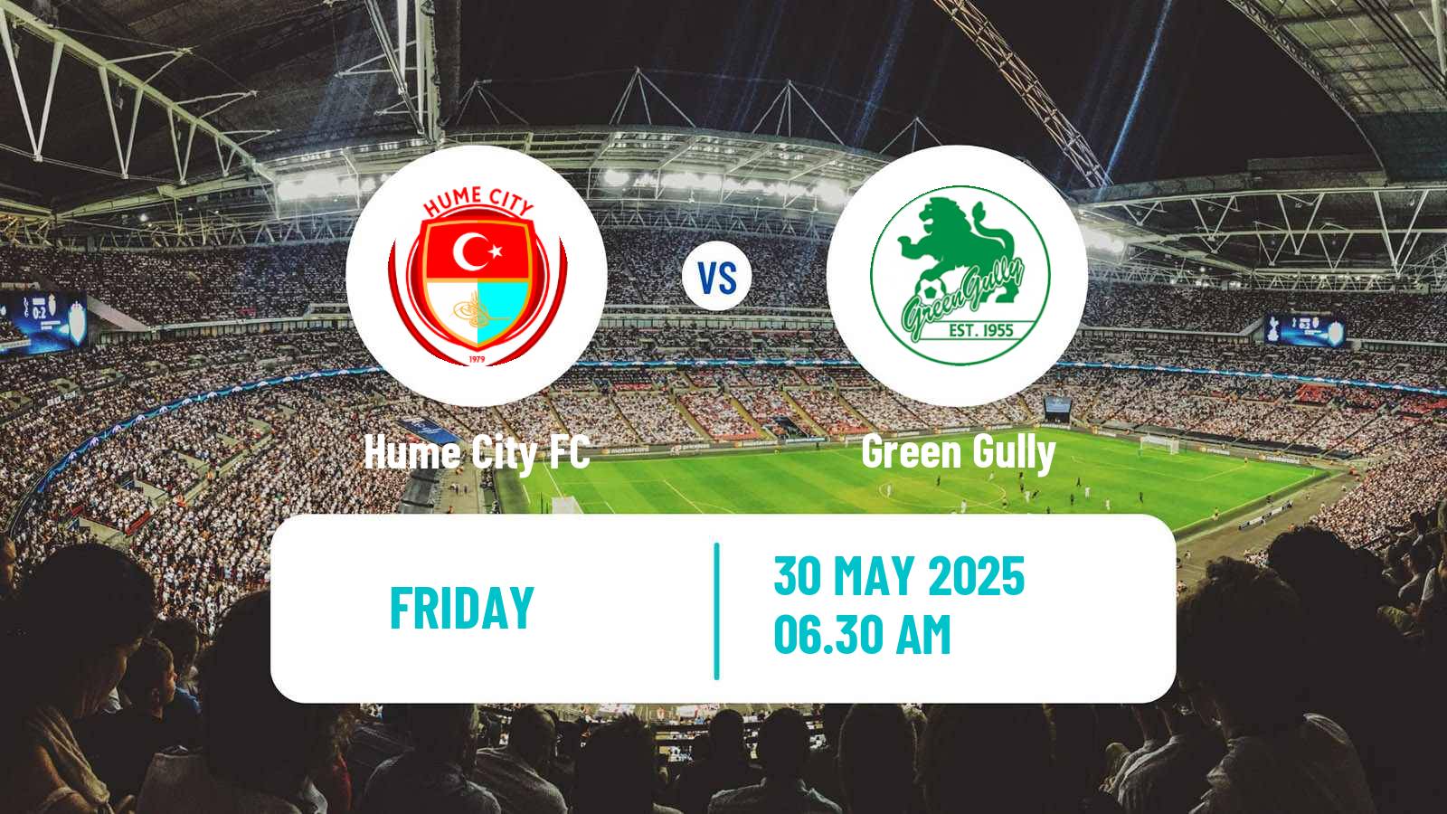 Soccer Australian NPL Victoria Hume City - Green Gully