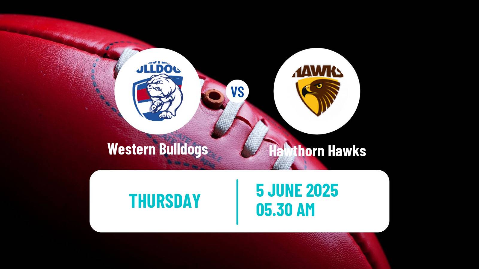 Aussie rules AFL Western Bulldogs - Hawthorn Hawks