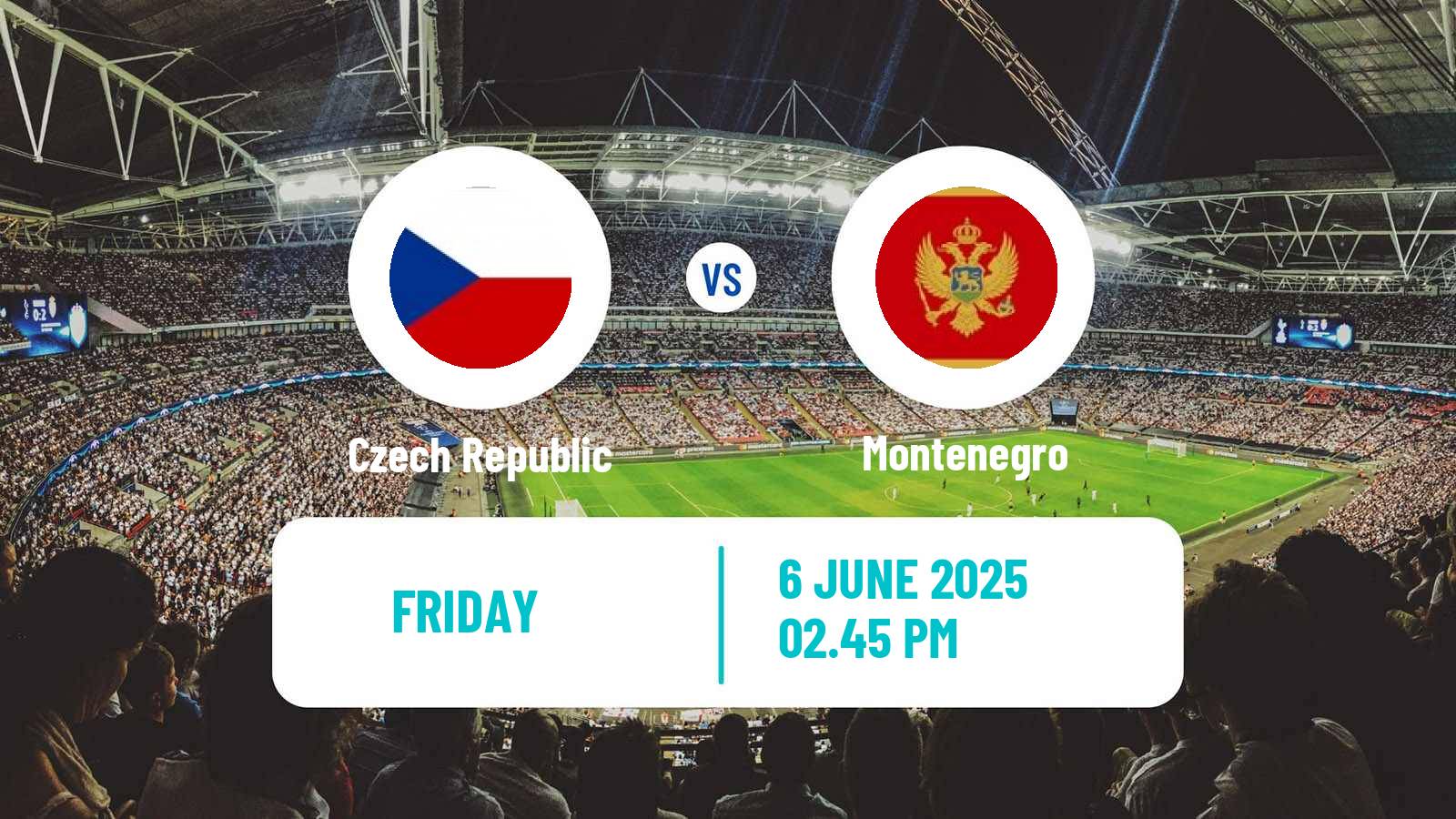 Soccer FIFA World Cup Czech Republic - Montenegro
