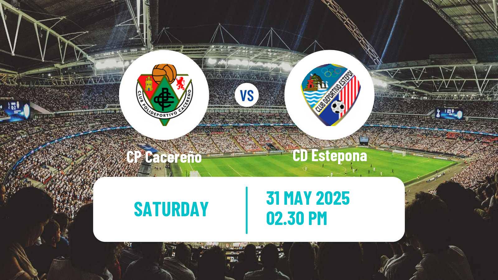 Soccer Spanish Segunda RFEF - Group 1 Cacereño - Estepona