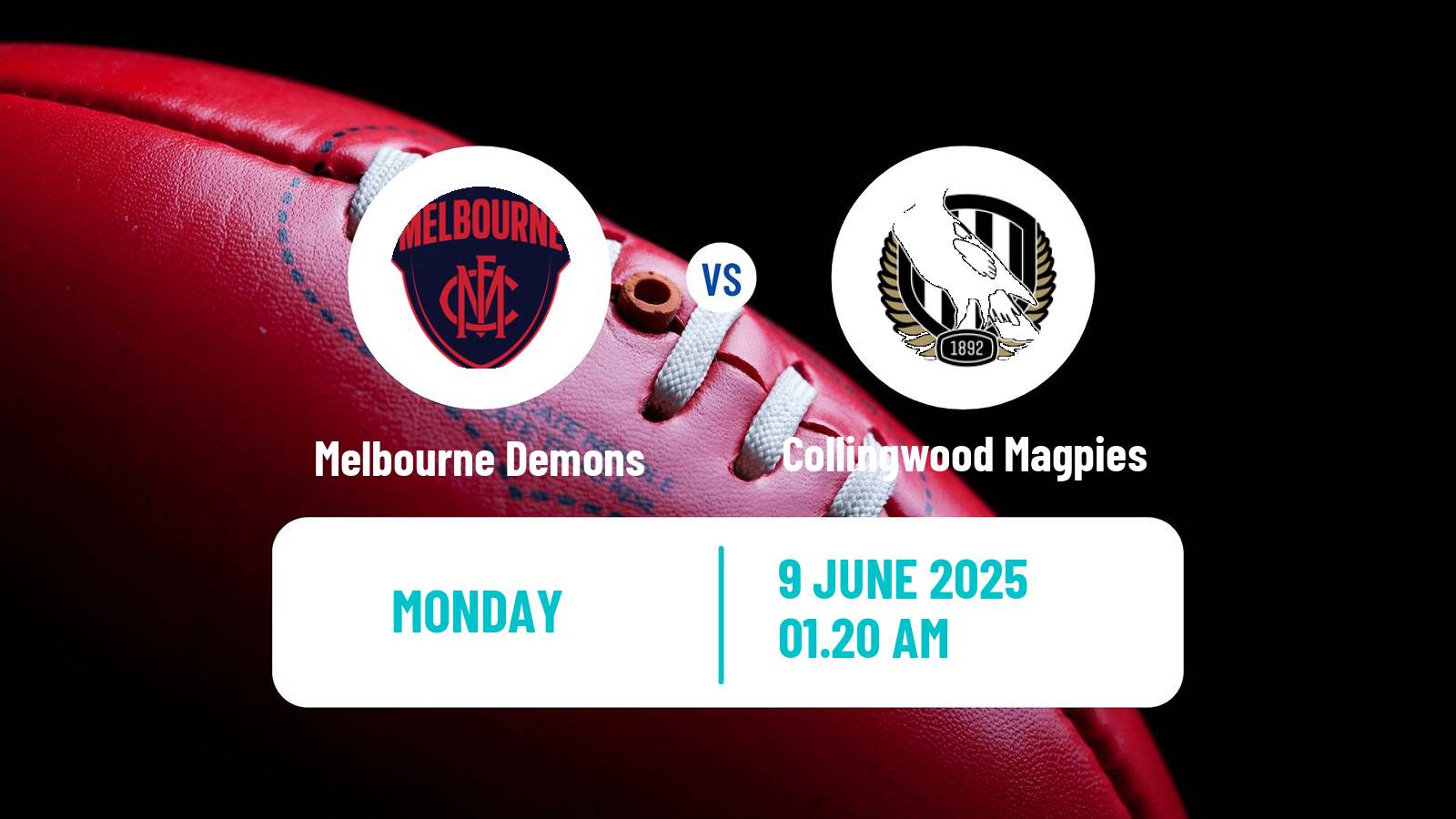 Aussie rules AFL Melbourne Demons - Collingwood Magpies