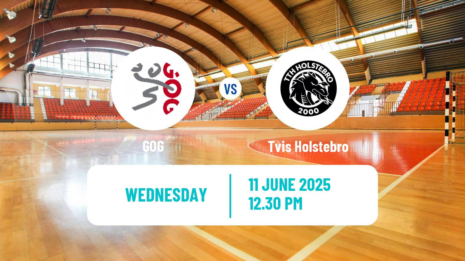 Handball Danish Handbold Ligaen GOG - Tvis Holstebro