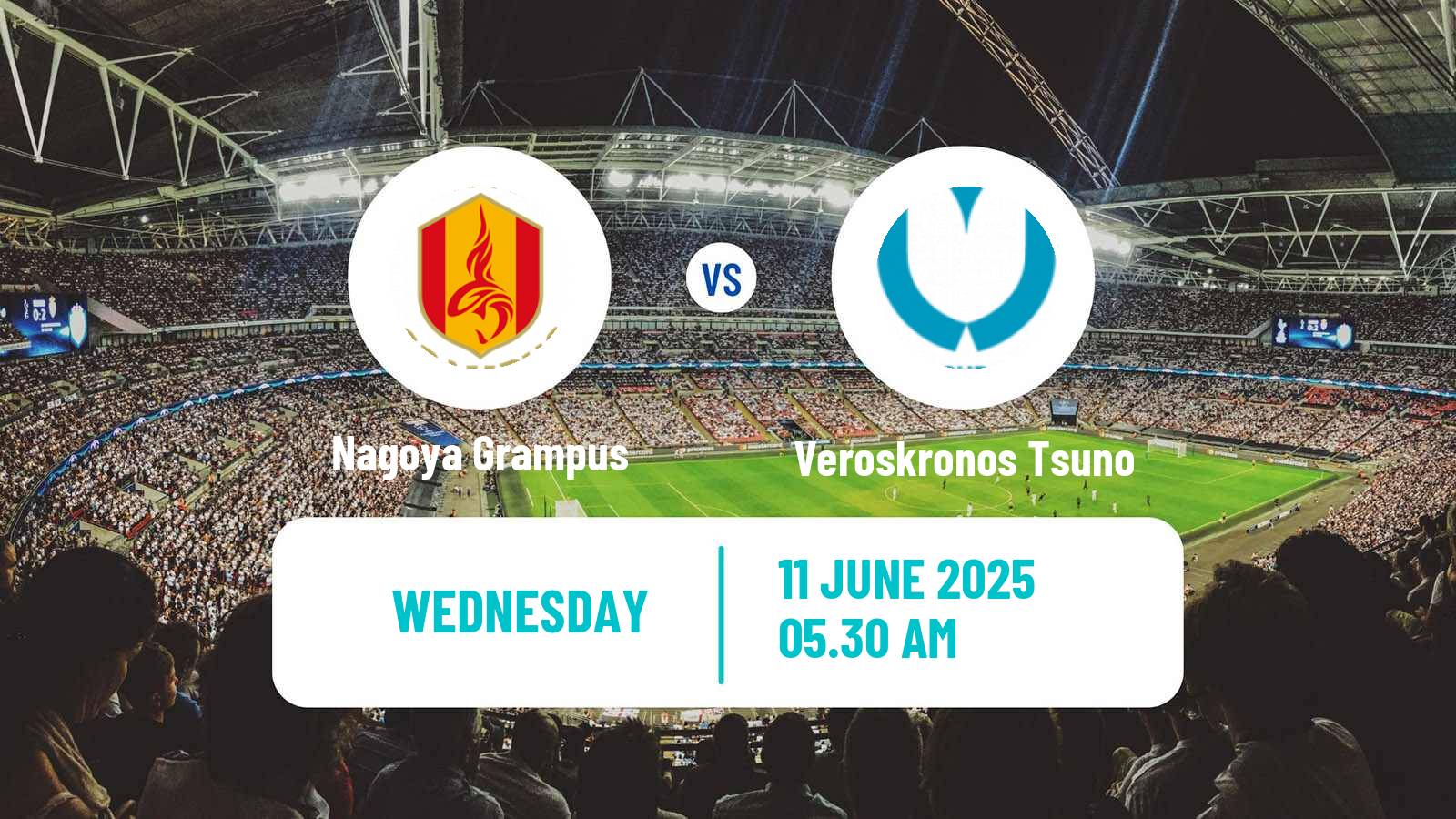 Soccer Japan Emperors Cup Nagoya Grampus - Veroskronos Tsuno