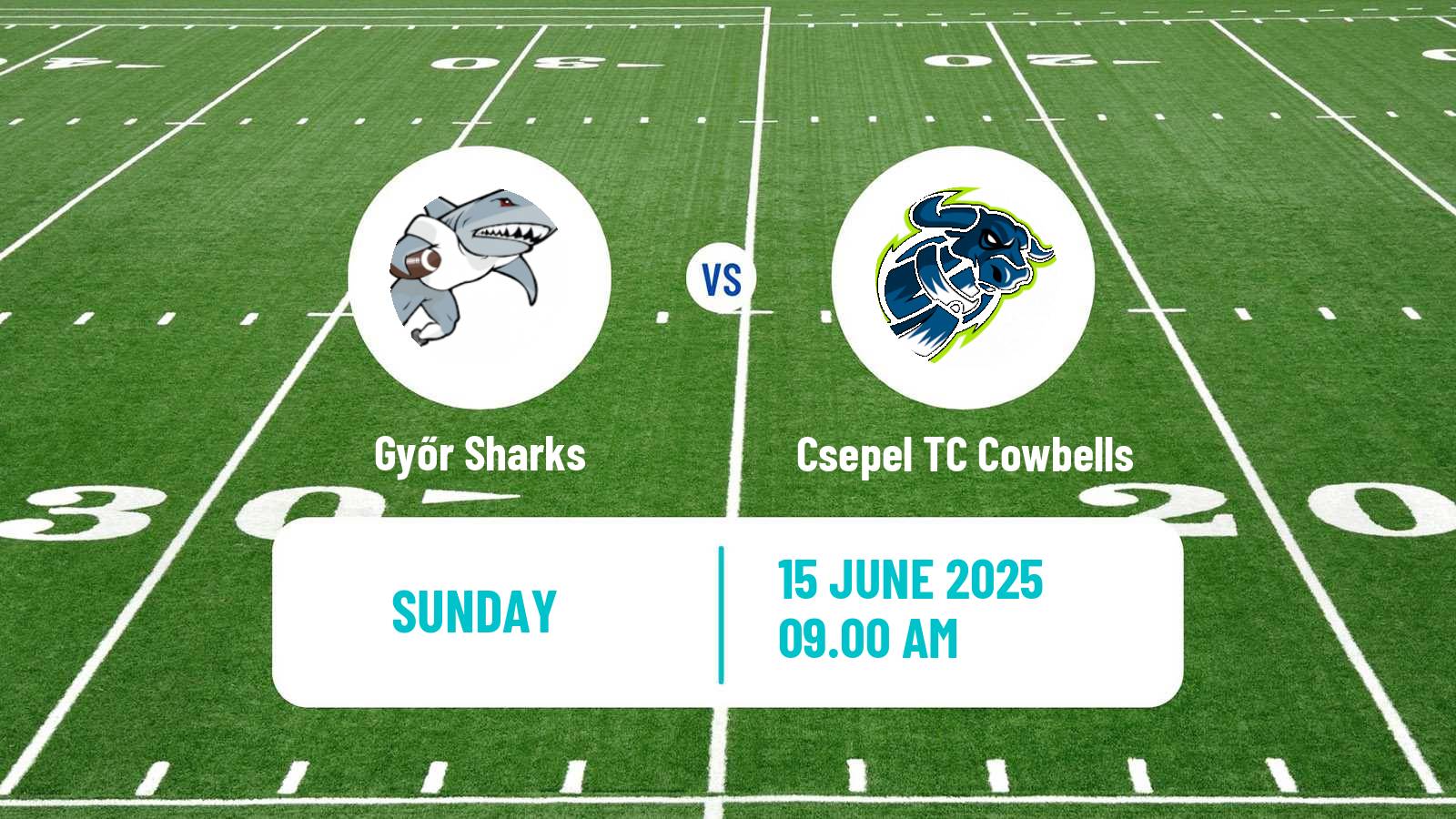 American football Hungarian HFL  American Football Győr Sharks - Csepel TC Cowbells