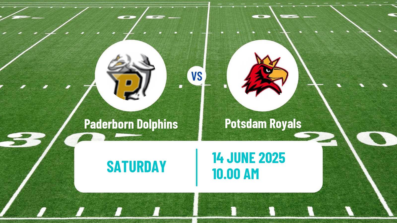 American football German GFL Paderborn Dolphins - Potsdam Royals
