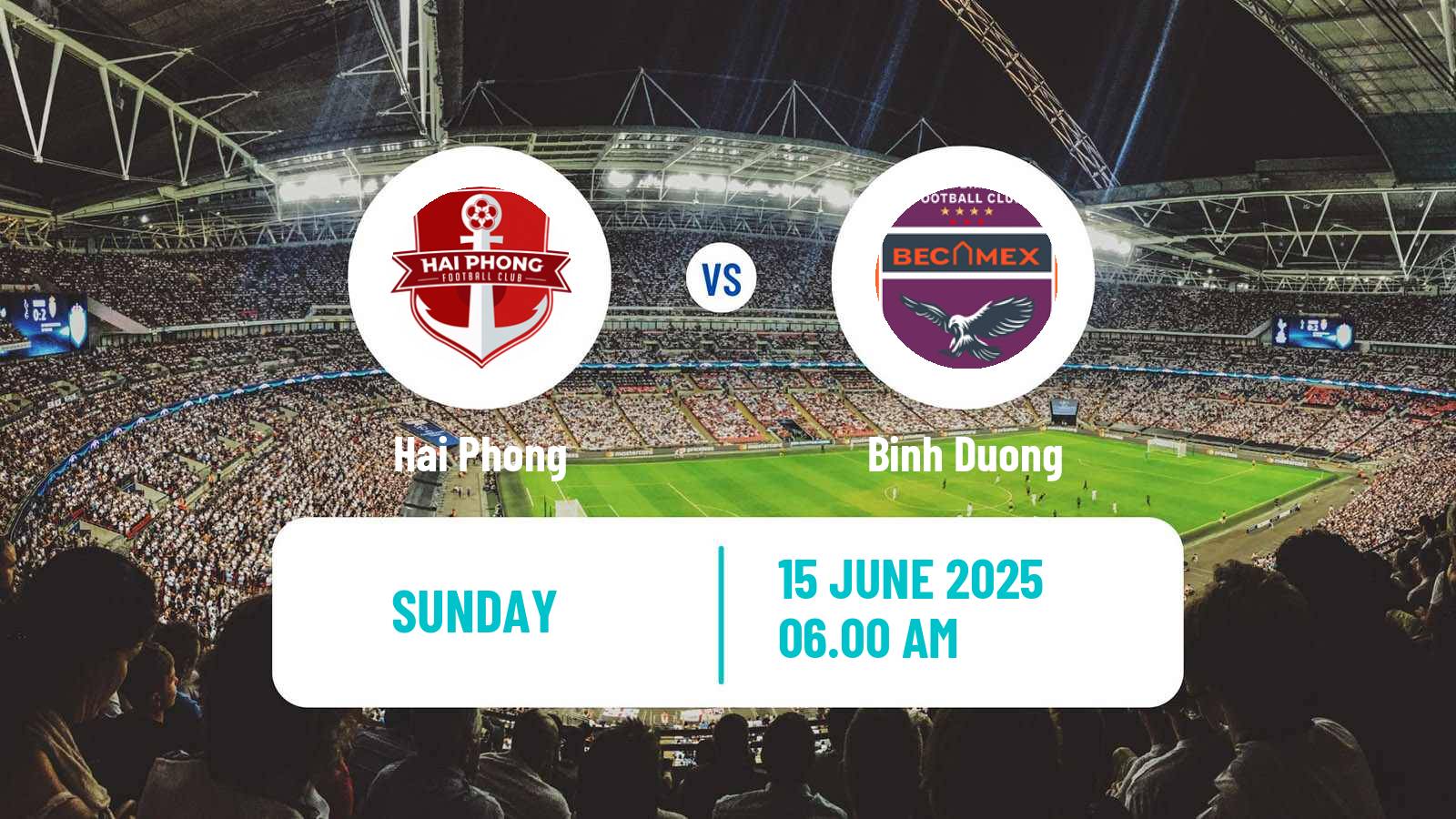Soccer Vietnamese V League 1 Hai Phong - Binh Duong