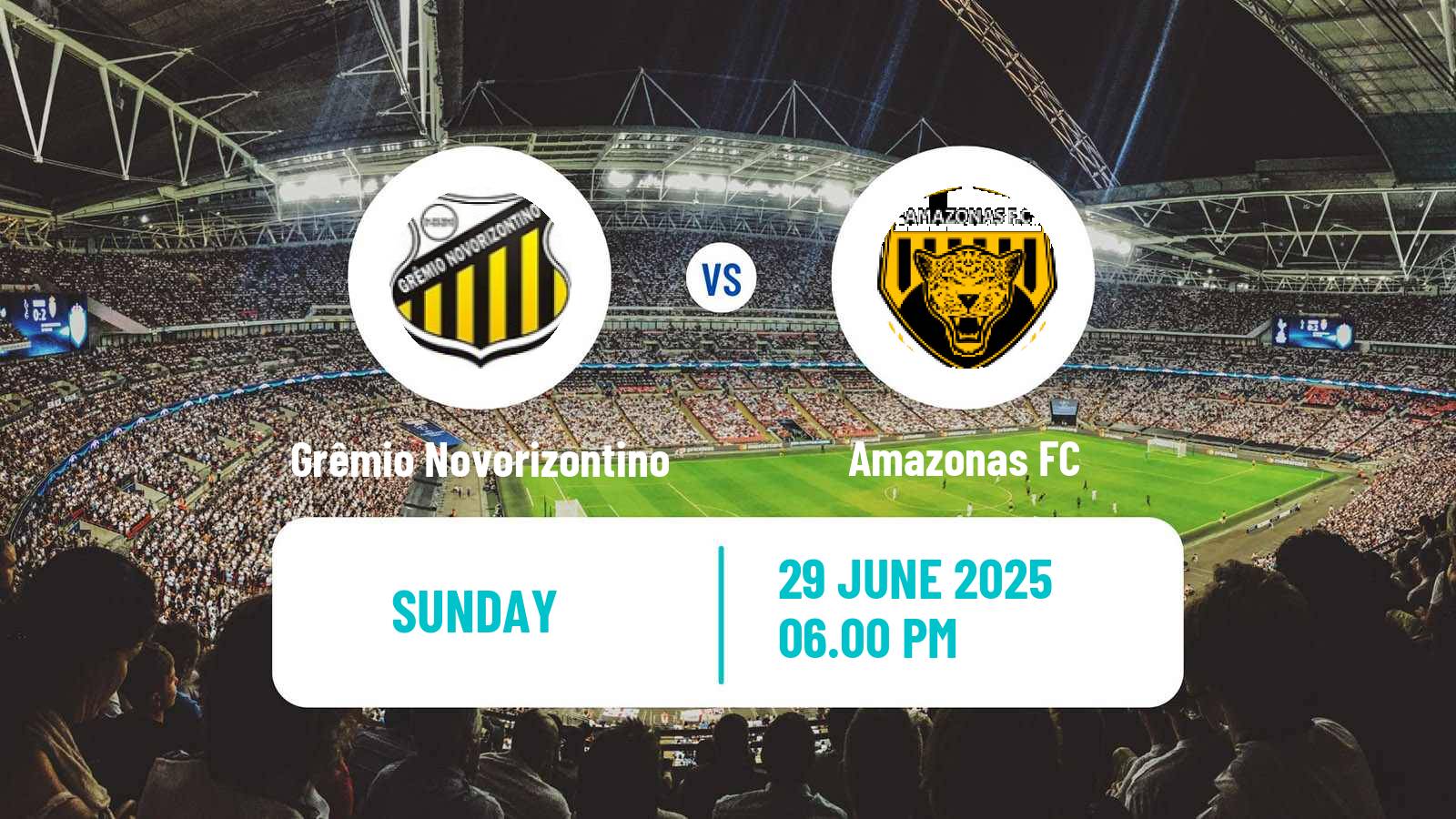 Soccer Brazilian Serie B Grêmio Novorizontino - Amazonas