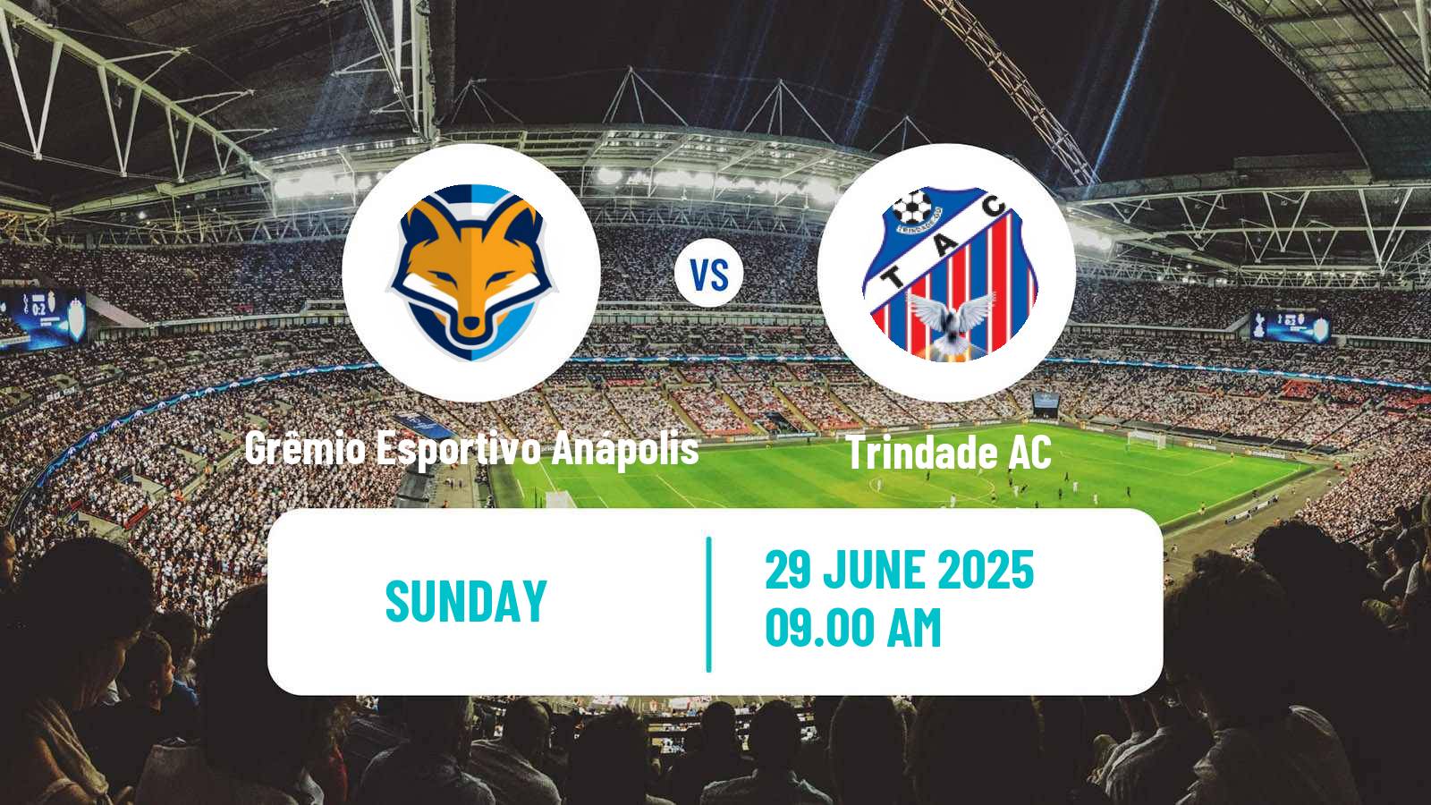 Soccer Brazilian Campeonato Goiano 2 Grêmio Esportivo Anápolis - Trindade